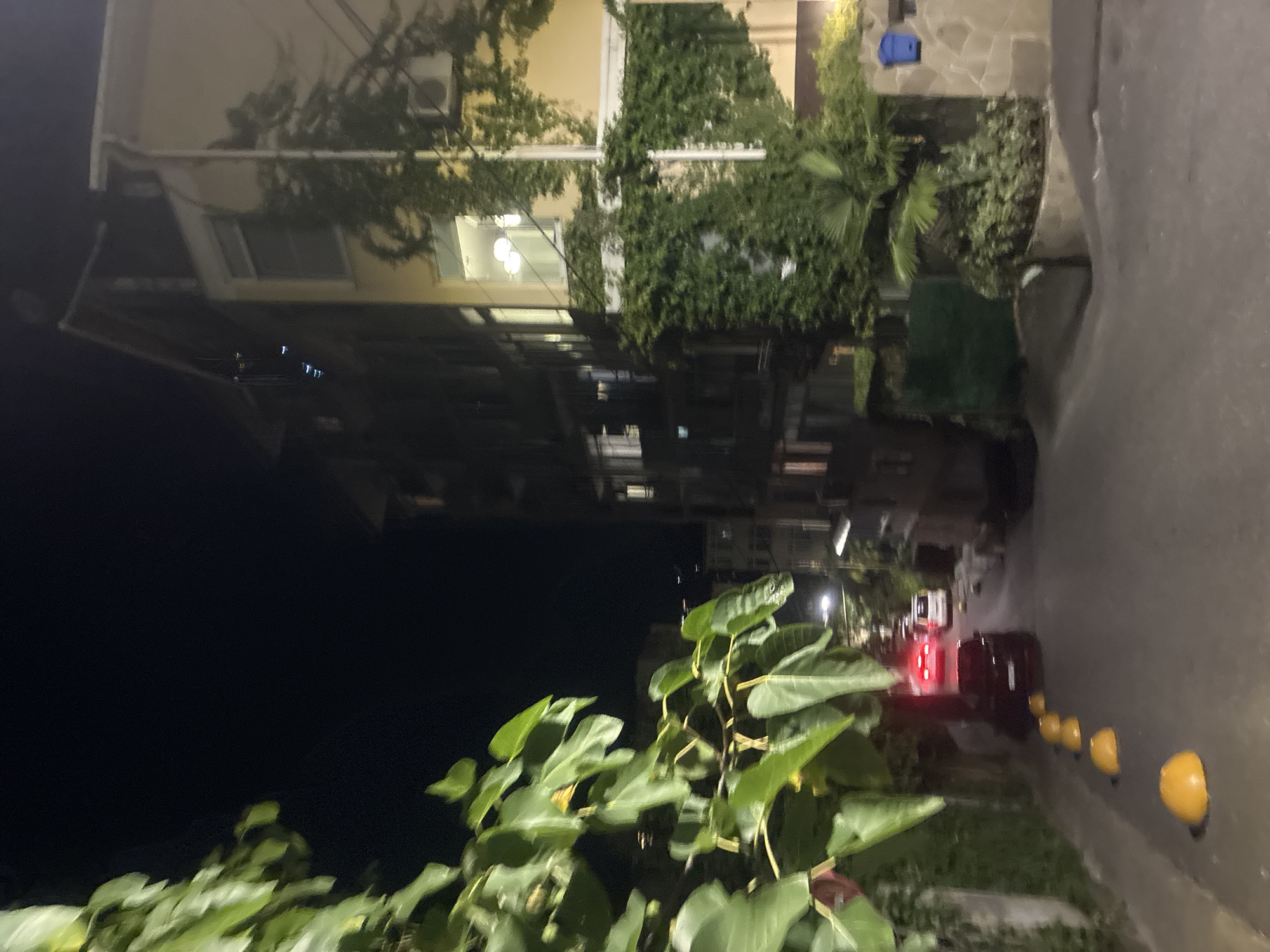 The image depicts a street scene at night in Sochi, Russia. A narrow asphalt road curves gently to the right, lined with buildings and vegetation. In the foreground, on the left, large green leaves of a tree overhang the scene. On the right side of the road, a building with a light-colored facade is covered in dense green ivy. Several windows are visible, with one on an upper floor illuminated, showing three ceiling lights. An air conditioning unit is mounted on the wall below this window. Further down the street, the taillights of a red car are illuminated. A white van is parked behind it, and another dark-colored car is in front of the red car. Yellow, dome-shaped bollards are spaced along the left side of the road, marking the edge of a sidewalk or pathway. In the background, other buildings and streetlights are visible, contributing to the urban nightscape. A blue mailbox is attached to a stone-faced wall on the right side of the street, near the ivy-covered building. The overall impression is of a quiet, residential street at night.