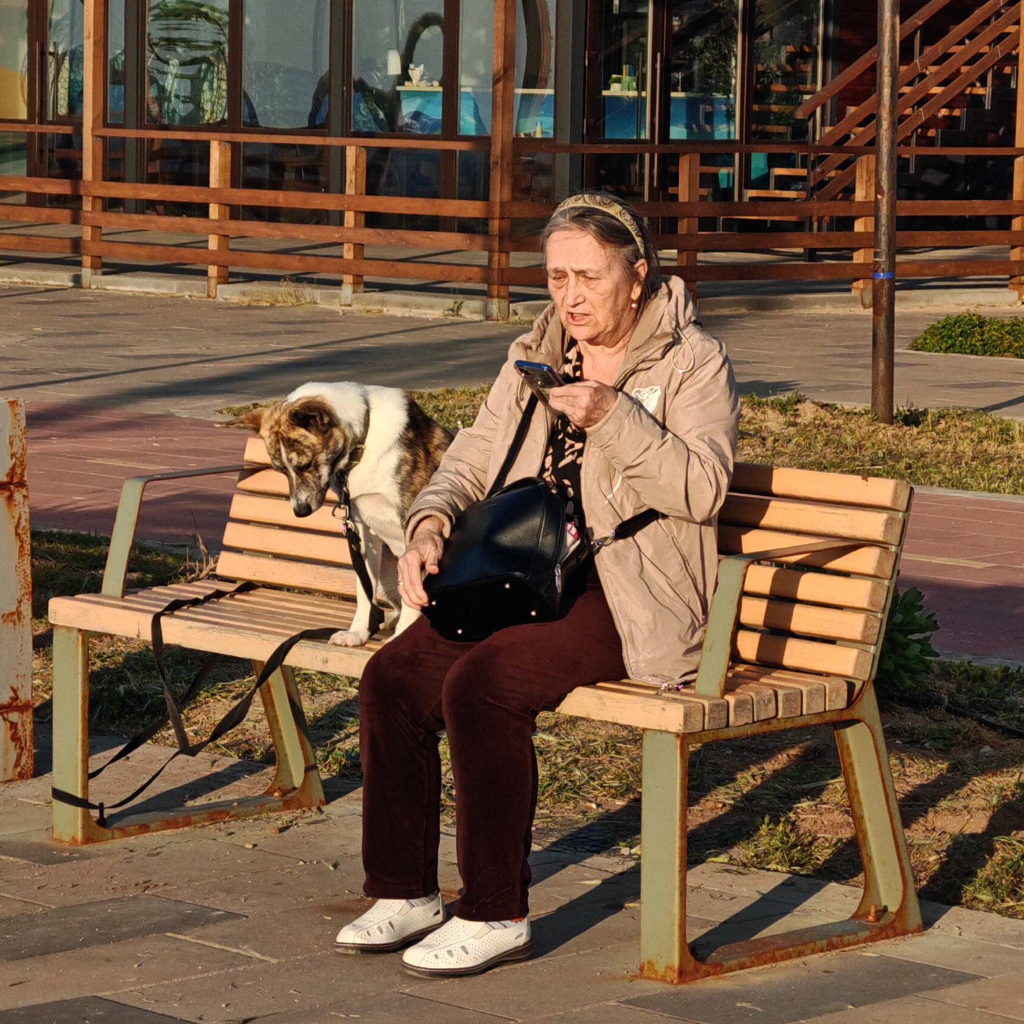 An older woman sits on a wooden bench outdoors in an unknown city. She is wearing a tan jacket, brown pants, and white shoes. A black purse hangs from her shoulder, and she is holding a smartphone, looking at the screen. Next to her on the bench is a medium-sized, short-haired dog with white and brown fur. The dog is wearing a black collar and leash and is looking down. Behind the bench, there is a wooden structure with glass windows. The area around the bench is paved with stone tiles, and there are patches of green grass and small bushes. A metal pole is visible behind the bench. The lighting suggests it is daytime with a clear sky.
