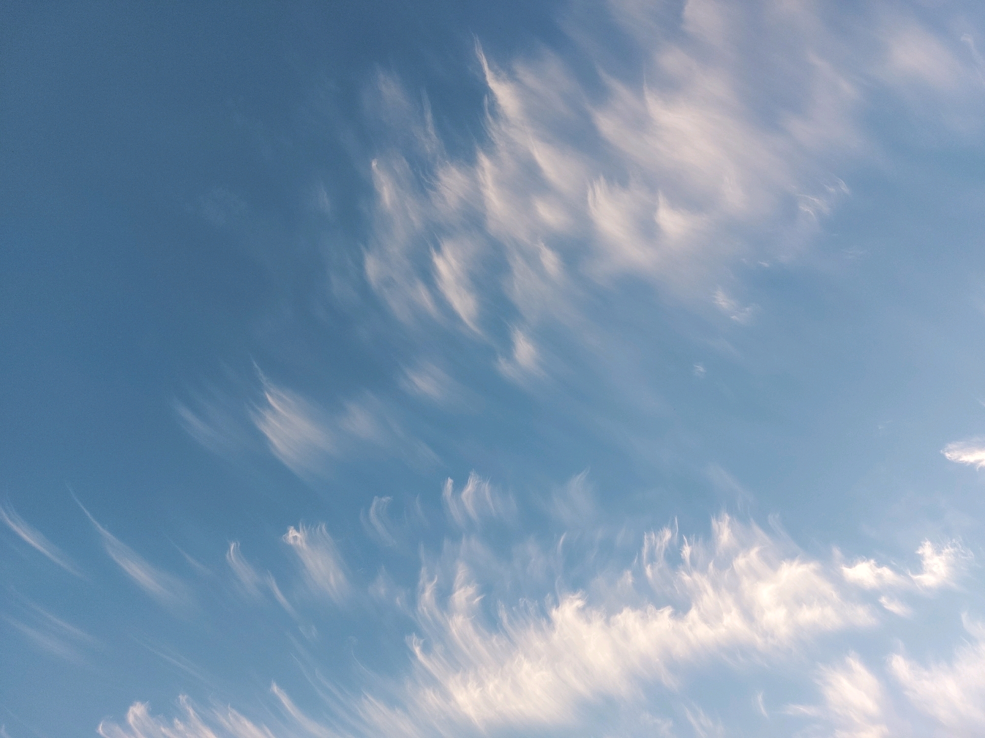 The image is a close-up, low-angle shot of a blue sky filled with wispy, white cirrus clouds. The clouds are elongated and streaky, appearing to be blown by the wind from left to right across the frame. The sky is a clear, bright blue, suggesting daylight. There are no visible man-made structures or people in the image. The scene depicts a natural atmospheric phenomenon. The location of Neu Wulmstorf, Germany, is not discernible from the visual information provided in the image.
