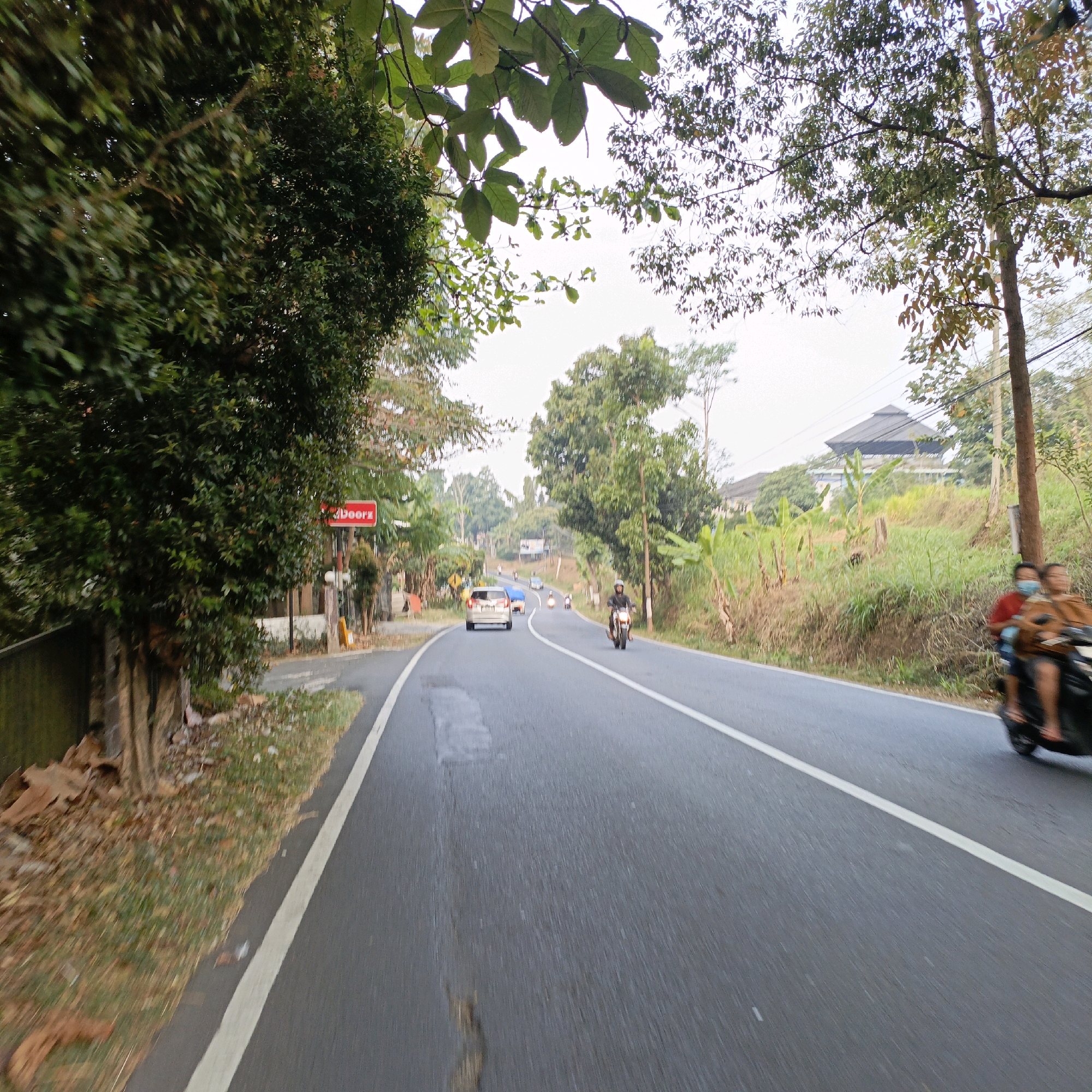 In Sumogawe, Indonesia, an asphalt road curves through a lush, green environment. The perspective is from a moving vehicle, likely a motorcycle, looking forward and slightly to the right. On the left side of the road, a dense green tree stands tall, with dry leaves scattered at its base. Further along the left, a red sign with white text that reads "Doorz" is visible.
The road itself is marked with a white line down the center, indicating two lanes. Several vehicles are traveling on the road. A silver car is in the distance on the left lane, followed by a motorcycle with a rider. Ahead, another motorcycle carrying two people, one wearing a face mask, travels in the right lane. The right side of the road is lined with grassy slopes, interspersed with banana trees and other vegetation. In the background, a building with a distinctive dark, multi-tiered roof is visible on a hill. The sky is overcast, casting a soft light on the scene. The overall impression is that of a scenic drive through a semi-rural or suburban area.