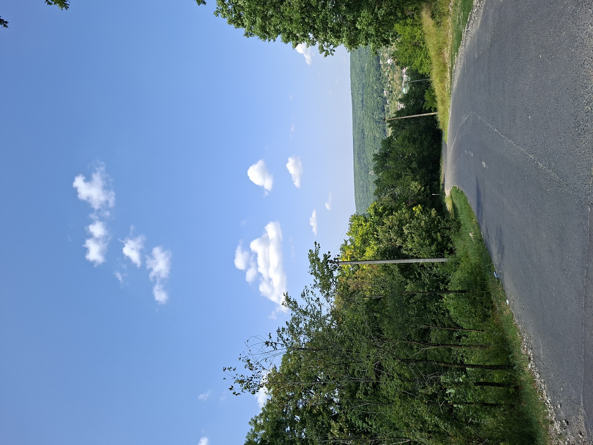 The image shows a winding asphalt road cutting through a lush, green landscape. On the left, dense trees line the road, with a variety of deciduous trees creating a thick canopy. The road curves to the right, leading towards a distant, hilly terrain dotted with houses and smaller structures, suggesting a village or small town. The sky is a clear, bright blue with a few scattered white clouds. The overall impression is one of a rural road on a sunny day, possibly in or near Condrița, Moldova, given the characteristic rolling hills and vegetation. No people or vehicles are visible in the frame. The environment appears serene and natural.