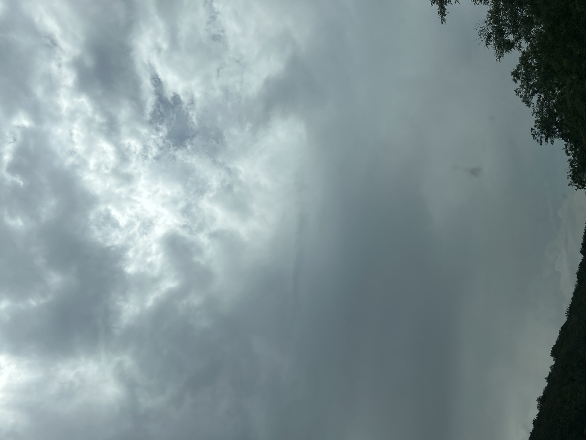 The image displays an overcast sky over Gorno Varshilo, Bulgaria. The upper two-thirds of the frame are filled with a dense formation of grey clouds, exhibiting variations in shade from dark leaden grey to lighter, brighter grey areas where diffuse light penetrates. The lower third of the image reveals the dark, silhouetted outlines of tree-covered terrain, likely hills or mountains, rising from the bottom edge and extending upwards into the lower corners. No individuals, animals, specific objects, or discernible human activity are present in the scene.