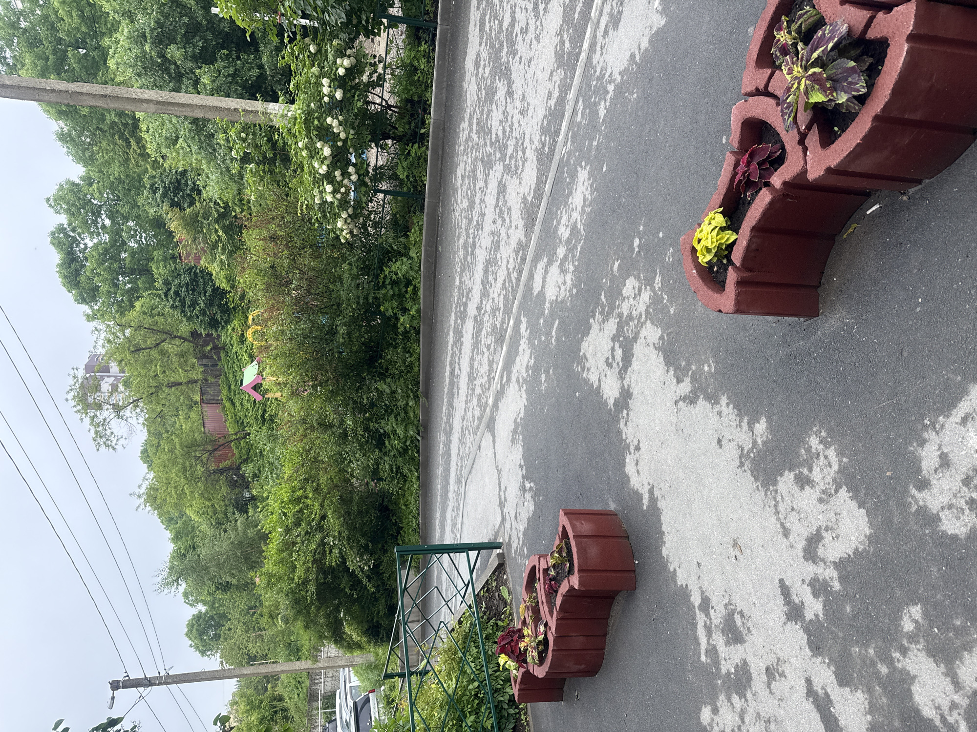 An outdoor, eye-level, medium shot captures a residential courtyard in Vladivostok, Russia, under an overcast sky. The foreground is dominated by a curved, red brick planter box holding three distinct varieties of plants: a bright yellow-leaved plant, a dark red-leaved plant, and a variegated plant with green, yellow, and purple leaves. To the left of this planter, a green metal fence with a diamond pattern encloses a patch of greenery. Beyond the fence, several cars are parked. The asphalt ground shows wet patches, suggesting recent rain. In the mid-ground, another identical red planter box is partially visible. The background is a dense arrangement of lush green trees and bushes, with a glimpse of a red-roofed structure and a colorful playground in the distance. Two concrete utility poles with overhead wires stand on either side of the frame, one on the left and one on the right. The overall scene depicts a typical urban courtyard with elements of nature and children's recreation.
