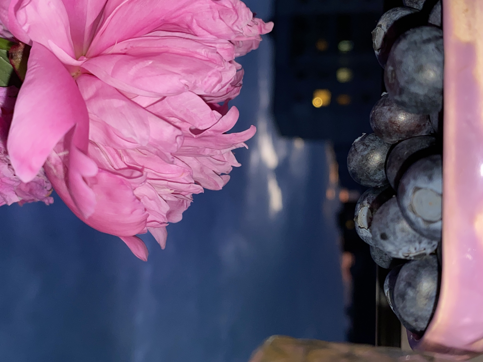 A close-up, shallow depth-of-field shot features a pink peony flower in the upper right quadrant against a dark, cloudy sky. Below the flower, a pink bowl is filled with blueberries, which are in sharp focus. In the background, silhouetted buildings with glowing windows suggest an urban setting at dusk or night. The scene is likely located in Chaikovsky, Russia, given the presence of urban elements.