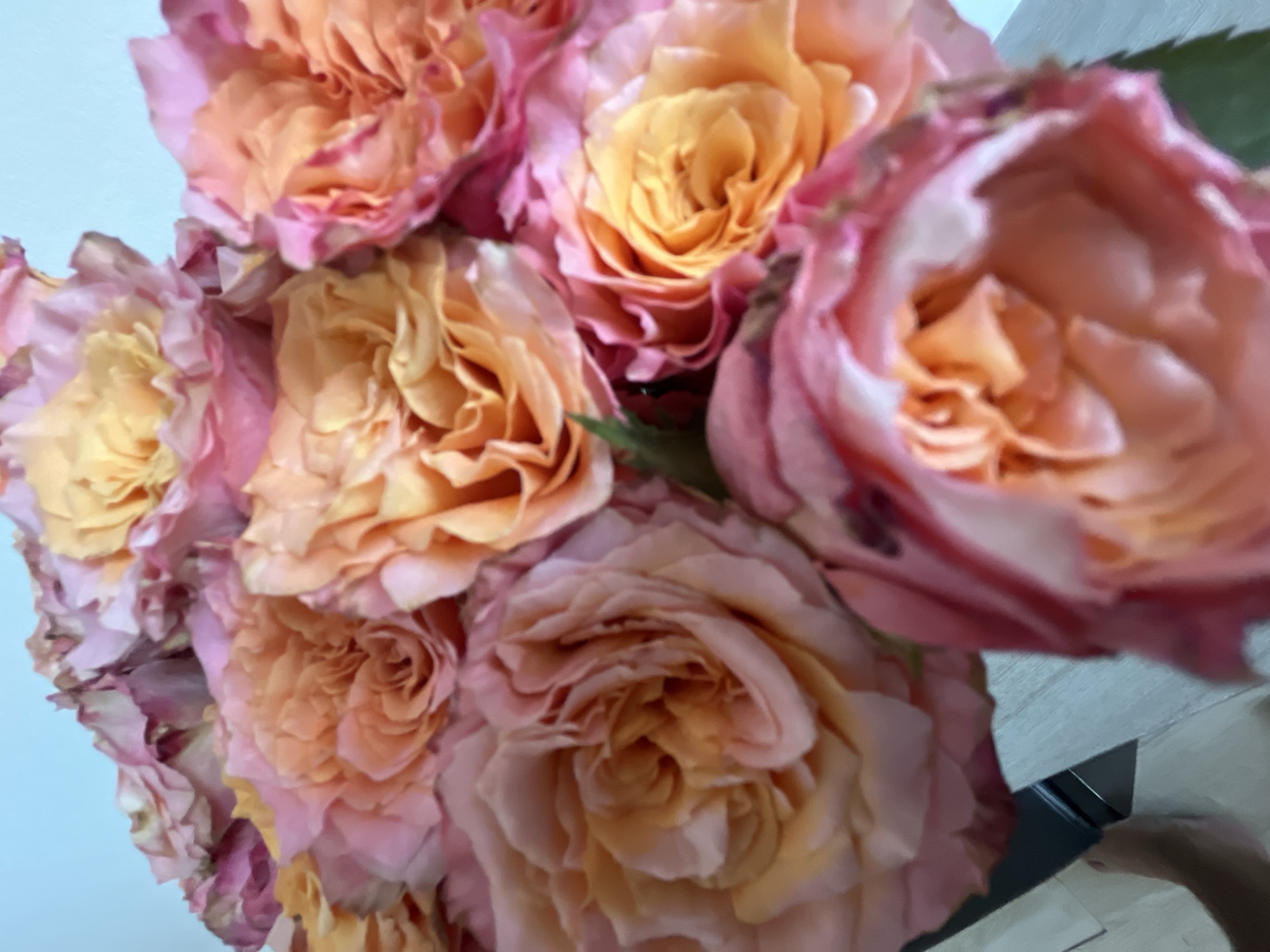 The image shows a close-up of a bouquet of roses in mixed shades of pink and orange. The roses are tightly clustered together. The background is blurred, with hints of light blue and neutral tones. The location and specific details of Bac Nha Trang Ward, Vietnam, cannot be determined from the provided image.
