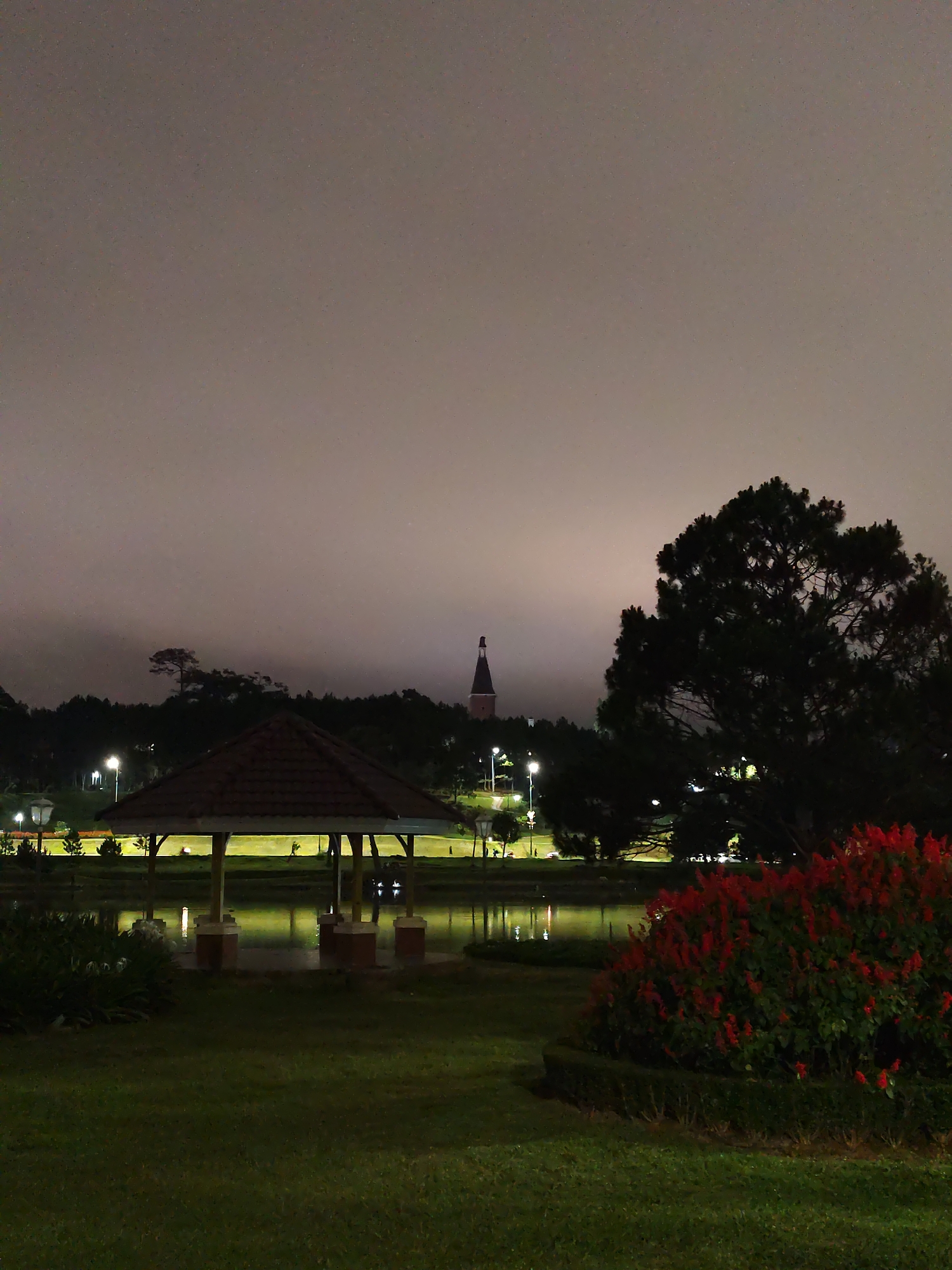 The image shows a nighttime scene at Xuan Huong Lake in Da Lat, Vietnam. In the foreground is a grassy area leading to a small body of water, presumably part of the lake. A gazebo is positioned over the water, supported by columns that are reflected in the water's surface. Beyond the gazebo, across the lake, is a landscape illuminated by streetlights. Trees and other vegetation are visible. In the distance, the spire of the Dalat Palace Hotel can be seen. To the right of the image, a large bush with red flowers stands out. The sky is overcast.