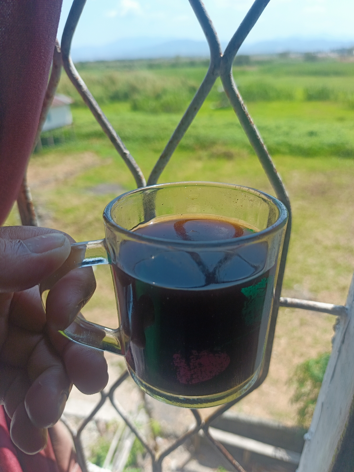 A hand holds a clear glass mug filled with dark liquid, likely coffee, in front of a window with a metal grate. Outside, a green field stretches towards distant hills under a clear blue sky. The scene suggests a peaceful moment, perhaps in a rural or semi-rural setting. The image is sharp and well-lit, with the focus on the mug and hand, while the background is slightly blurred, creating a sense of depth. The composition is simple yet effective, drawing the viewer's eye to the warm drink.