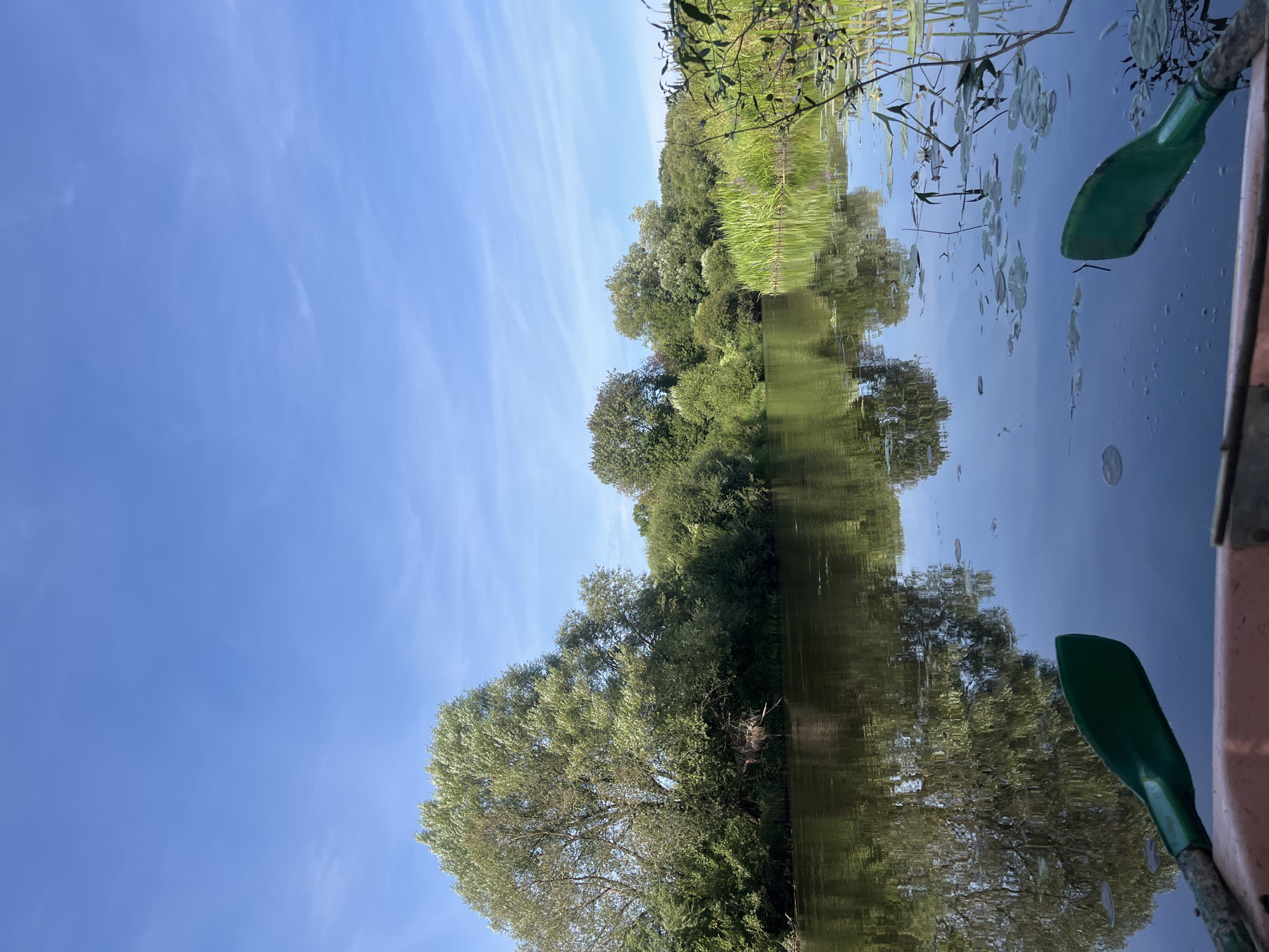 A wide shot captures a tranquil river scene in Sharkawshchyna, Belarus, under a clear blue sky with wispy clouds. The foreground shows the edge of a boat with two green oars partially submerged in the dark, reflective water. The river is flanked by lush green trees and vegetation, with the foliage of a large tree on the left dominating the bank. The trees and sky are mirrored in the calm water, creating a symmetrical and peaceful composition. On the right bank, tall reeds and lily pads dot the water's surface, adding texture to the scene. The image evokes a sense of quiet natural beauty and serene outdoor activity.
