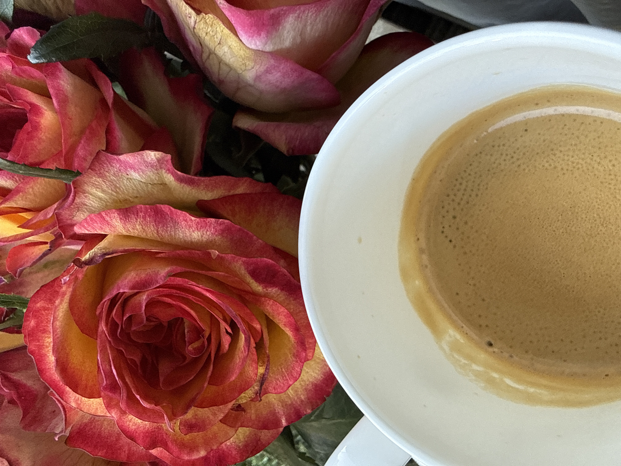 A close-up shot captures a white ceramic mug filled with dark coffee, topped with a frothy crema. The mug is positioned in the foreground, partially obscuring a vibrant bouquet of roses in varying shades of red, orange, and yellow. The roses, with their intricate petal details, dominate the upper portion of the frame, appearing lush and in full bloom. The overall scene evokes a sense of calm and indulgence, suggesting a moment of personal enjoyment, possibly in a home or a cafe setting in Bad Sachsa, Germany. There is no indication of people or specific actions occurring.