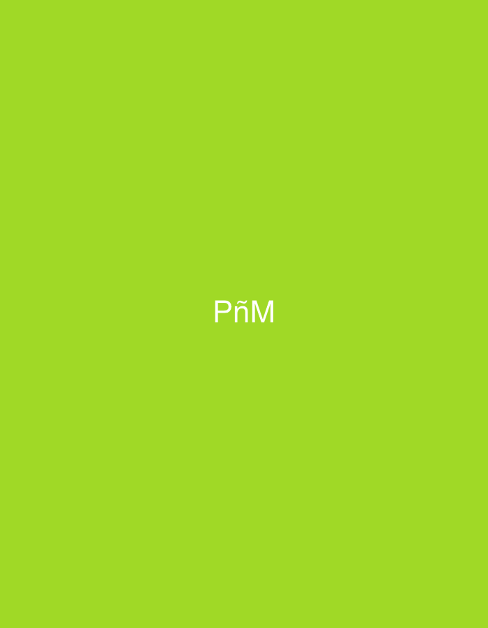 The image displays a uniform, solid lime green background. Centered horizontally and slightly below the vertical midpoint, the white sans-serif text "PñM" is rendered. No people, discernible objects other than the text, actions, interactions, or specific environmental details are present within the visual frame. The image provides no visual information or context to indicate a geographical location, including the city of Casablanca, Morocco.