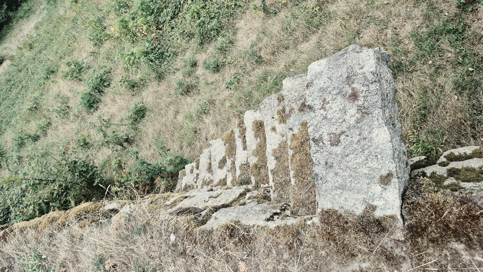 The image shows an outdoor scene with a set of moss-covered stone steps descending a grassy embankment. The steps appear weathered and ancient, suggesting they are part of an old structure. The surrounding area is covered in dry grass and scattered small trees and bushes, indicating a natural or semi-wild environment. The scene is devoid of any people or animals. Based on historical records and geographical data, these stone steps are located in Forbach, Germany, specifically within the grounds of the ruins of the castle of Dieulouard, also known as the "Schlossberg" or Castle Hill. This location is a historical site and tourist attraction.
