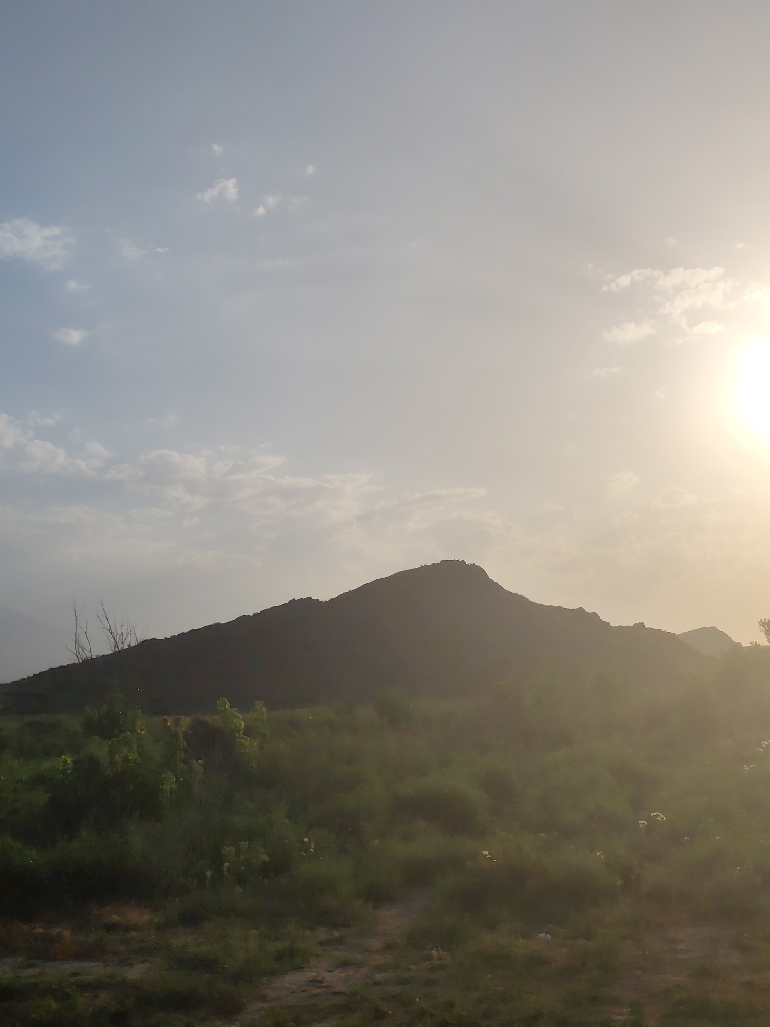 The image depicts a silhouetted mountain range against a bright, hazy sky. The sun is setting or rising on the right side of the frame, casting a warm glow and lens flare across the scene. The foreground consists of a field of green grass and shrubs, with some bare branches of a dead tree visible on the left. The mountain's outline is jagged and uneven, with rocky formations visible at its crest. The sky is a pale blue with scattered white clouds. The overall impression is one of a natural landscape at dusk or dawn, with a strong emphasis on the silhouette of the mountains and the atmospheric effects of the sun. There are no people or man-made structures visible in the image.