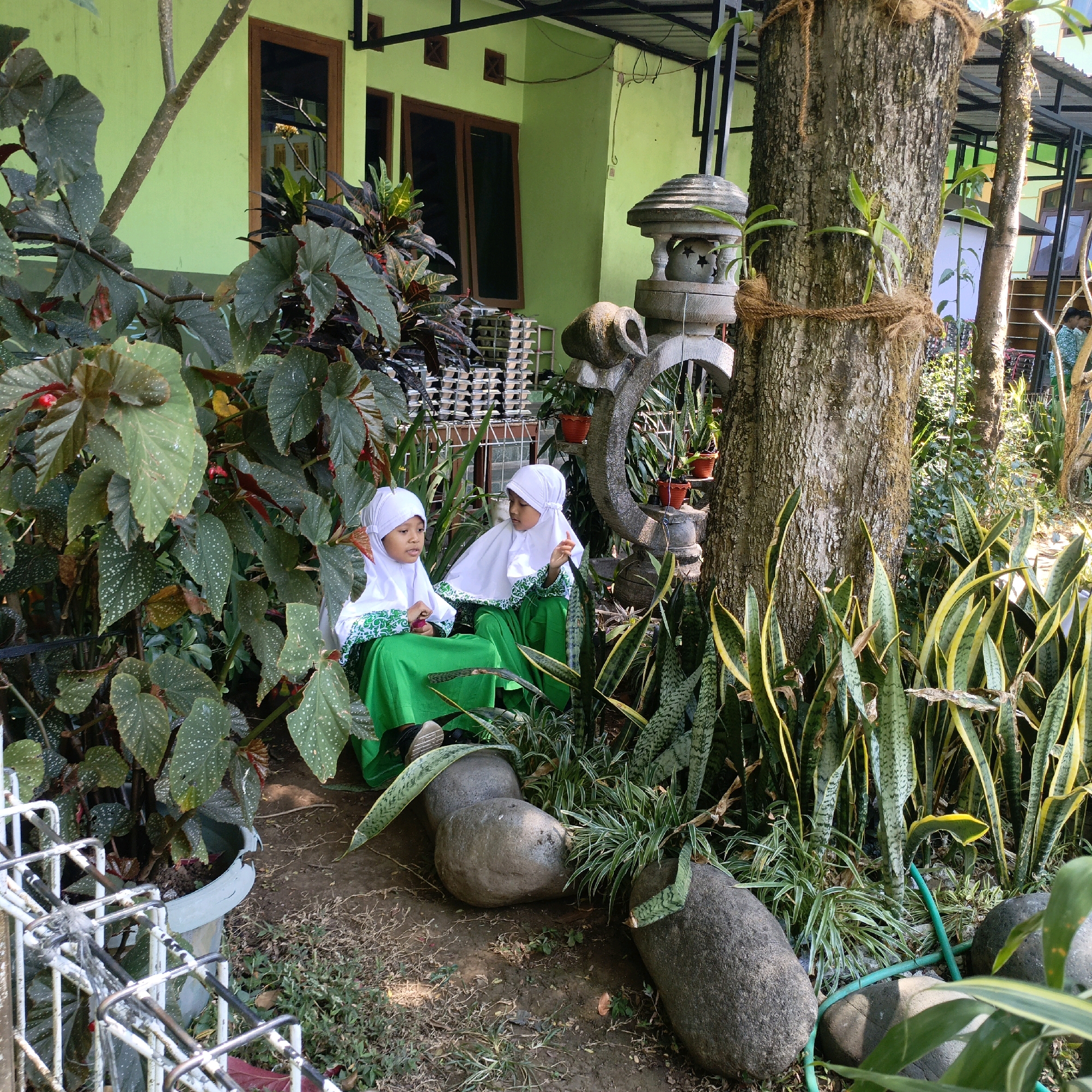 Memory