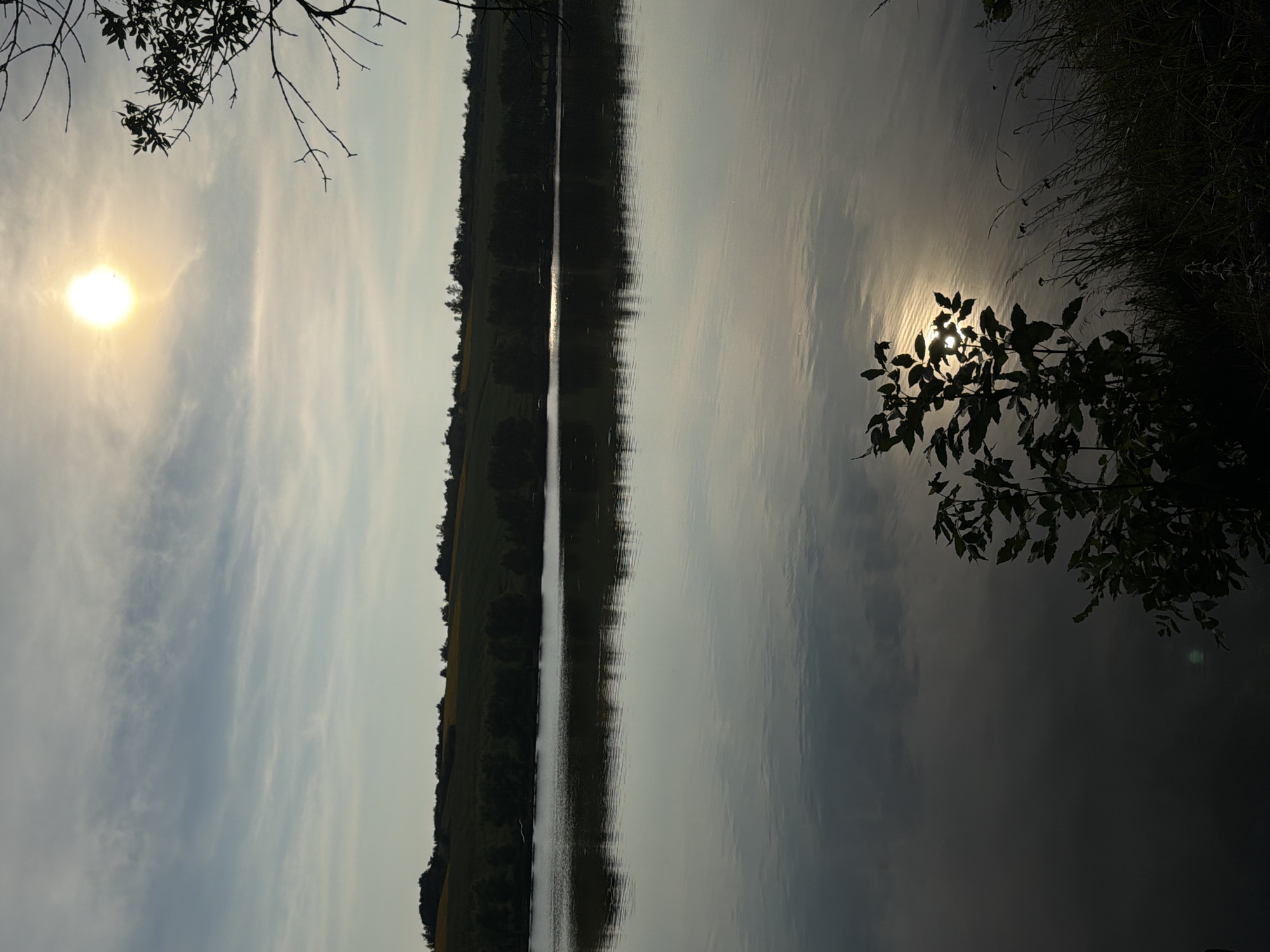 The image depicts a tranquil lake scene under a partially cloudy sky during daylight hours, with the sun positioned high and bright in the upper right quadrant. The sun casts a distinct reflection on the water's surface, creating shimmering patterns. The foreground features dark silhouettes of foliage and tall grasses along the lake's edge, with a small, leafy plant in the lower right and center. The middle ground is dominated by the calm water of the lake, reflecting the sky and the distant landscape. The background shows a tree line separating the lake from rolling hills covered in dark foliage and what appear to be yellow fields. The overall atmosphere is serene and natural, suggesting a rural or park-like setting. The image is presumed to be taken in Pănășești, Moldova, based on the provided context. There are no people or animals visible in the frame.