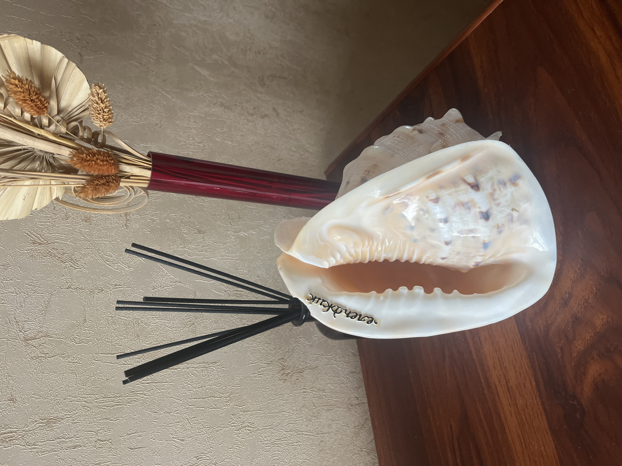 A still life photograph is displayed, featuring a large, open seashell positioned on a dark wooden surface. The seashell is predominantly white with iridescent pink and orange hues visible on its interior, and it is adorned with a silver-toned word in an elegant script along its inner lip. Behind the seashell, a dark glass vase holds several black reed diffusers, suggesting an aromatherapy setup. To the right of the diffusers, a tall, dark red glass vase contains a dried floral arrangement, composed of palm leaves and brown, spiky seed pods. The background is a textured, light-colored wall. The overall setting implies a decorative display within a residential space in Vladimirovka, Russia.