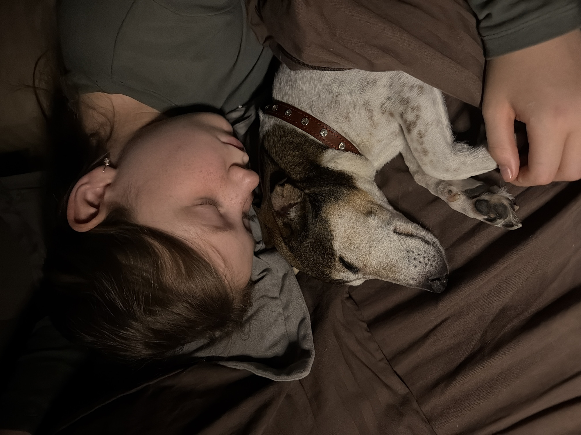 A person and a dog are sleeping on a brown bed. The person is lying on their side with their eyes closed and a gray pillow beneath their head. The dog is curled up next to the person's head, also asleep, wearing a studded brown collar. The scene is dimly lit. The location is unknown.