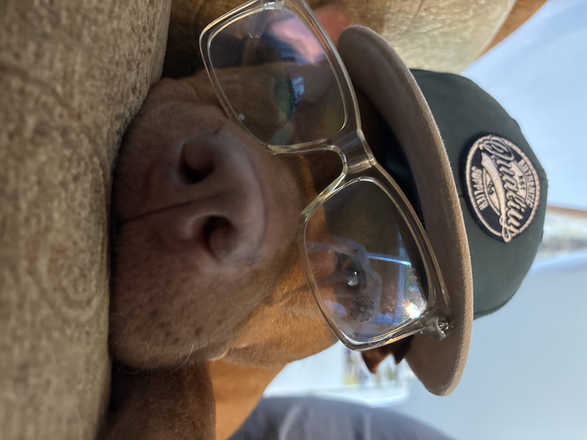 The image presents a close-up portrait of a reddish-brown dog, likely a short-haired breed, lying on its side with its head resting against a textured, light brown upholstered surface. The dog is humorously styled with accessories: clear-framed, rectangular glasses are perched on its snout and above its eyes, and a dark green cap with a beige brim sits on its head.
Reflections in the clear spectacle lenses show blurred indoor elements. A small, stylized emblem, resembling a floral or star design, is visible on the right lens of the glasses. The cap features a prominent circular patch on its side, which displays the word "Quality" in a decorative script. Surrounding "Quality" are smaller words, including "AUTHENTIC" and "SUPPLIER."
The background is softly blurred, indicating an indoor setting with subtle hints of a room, suggesting a daytime scene. The dog's expression is neutral and calm, conveying a relaxed and perhaps patient demeanor. The overall mood of the image is playful and lighthearted. No specific visual cues within the image confirm the location as Sofia, Bulgaria.