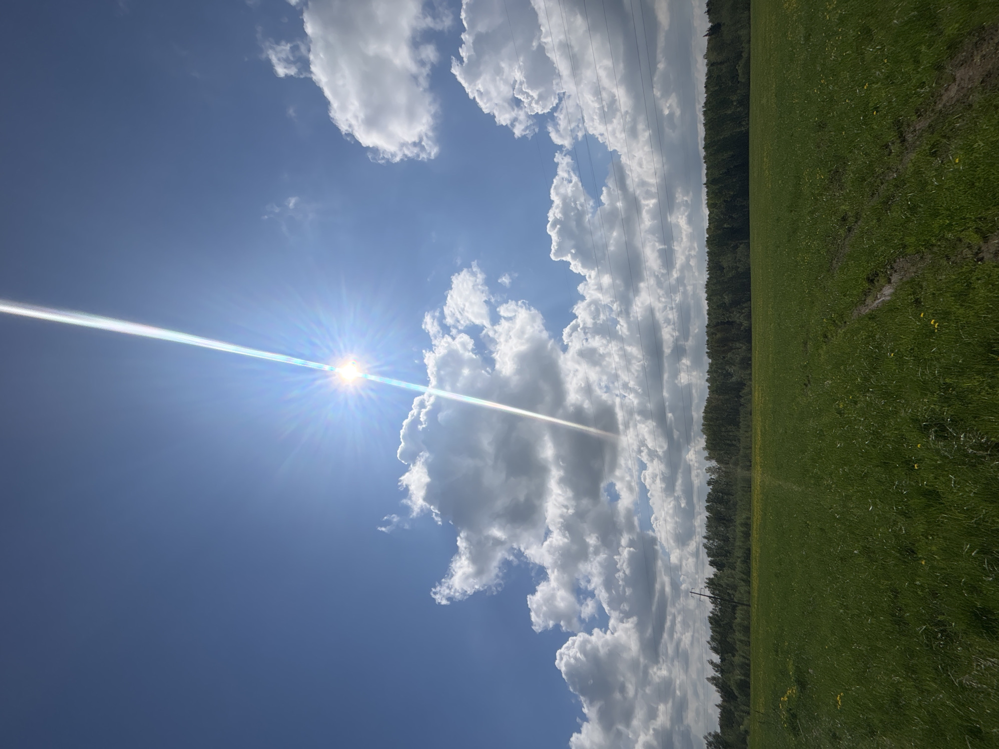 The image captures a rural landscape in Раздолье, Russia. A vibrant green field occupies the right side, bordering a line of dense trees. The sky is a clear blue, punctuated by scattered cumulus clouds. The sun shines brightly, creating a lens flare effect across the sky. Overhead power lines are visible, stretching across the scene.