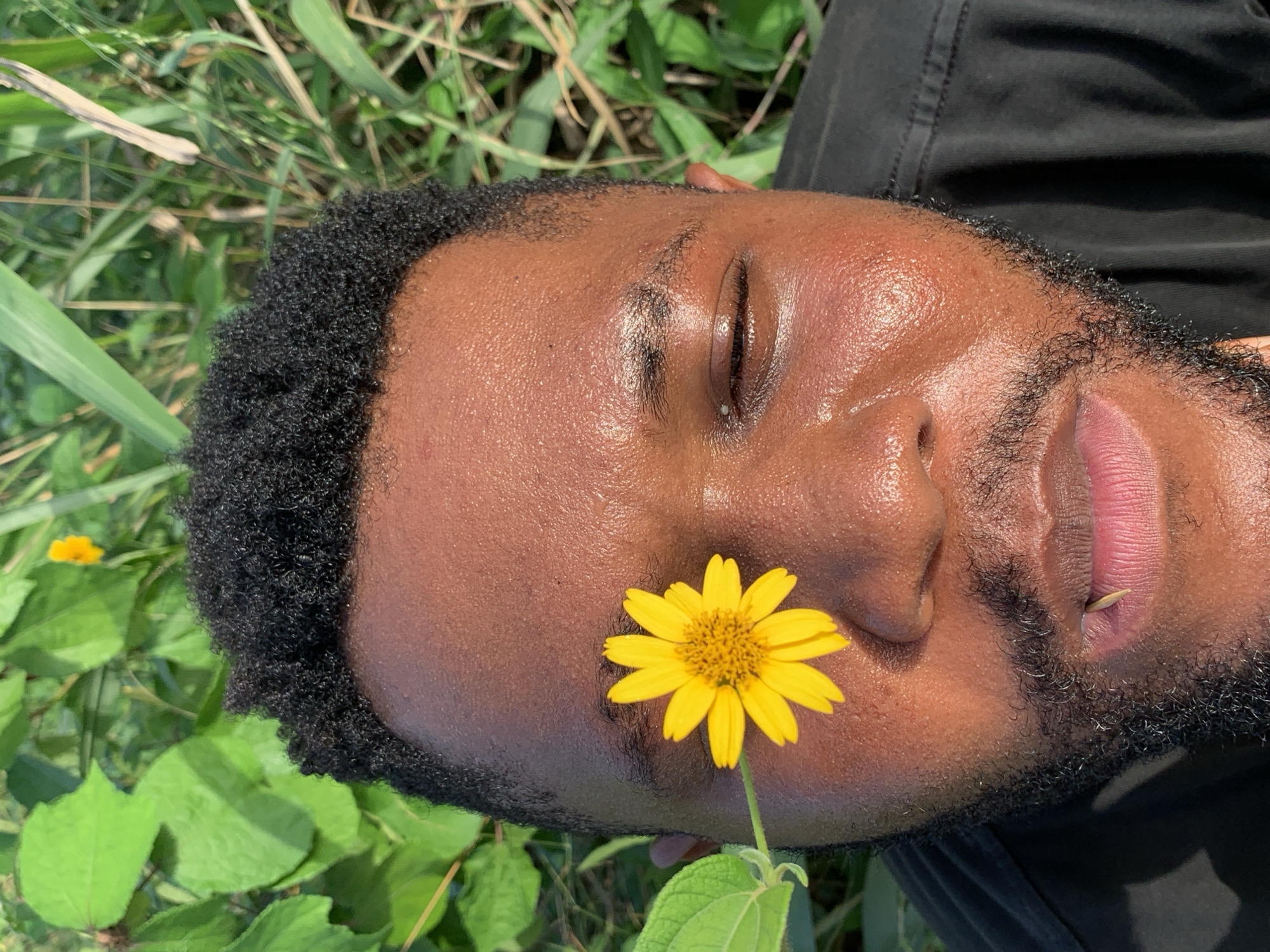 A close-up shot depicts a man with dark skin and black curly hair lying on his side in a grassy area. A yellow daisy-like flower is positioned on his face, near his beard. His eyes are closed. He has a small object, possibly a toothpick, between his lips. His skin appears to be glistening with moisture. The background is a mix of green grass and leaves. There is no direct evidence to suggest this image was taken in Ikorodu, Nigeria.