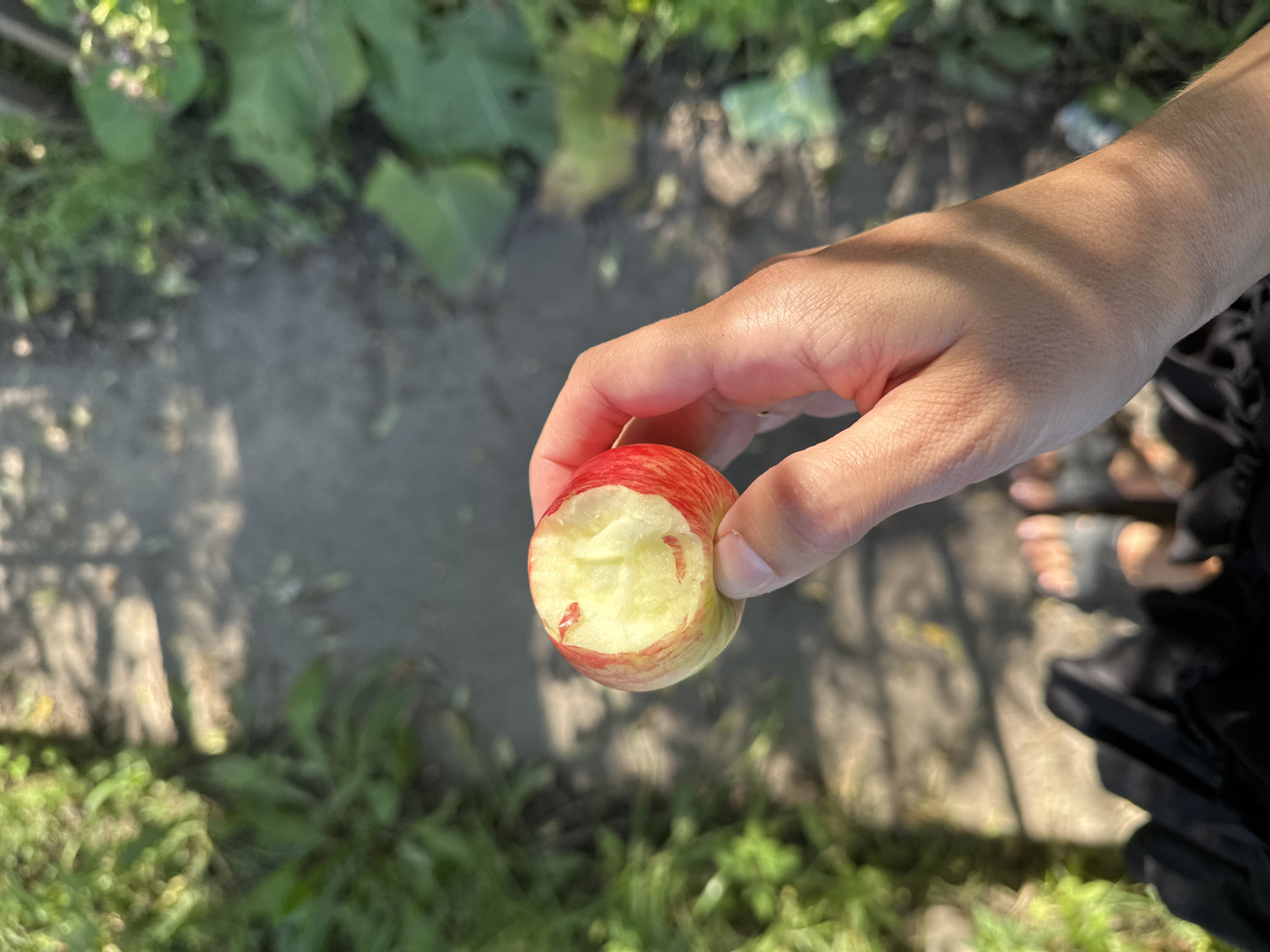 In the city of Rasskazovo, Russia, a hand is holding a partially eaten apple. The apple is red and yellow with bite marks. The background is blurred, but appears to be an outdoor path with greenery on either side. The lighting suggests it is daytime. The person's feet are visible at the bottom of the frame, wearing sandals.