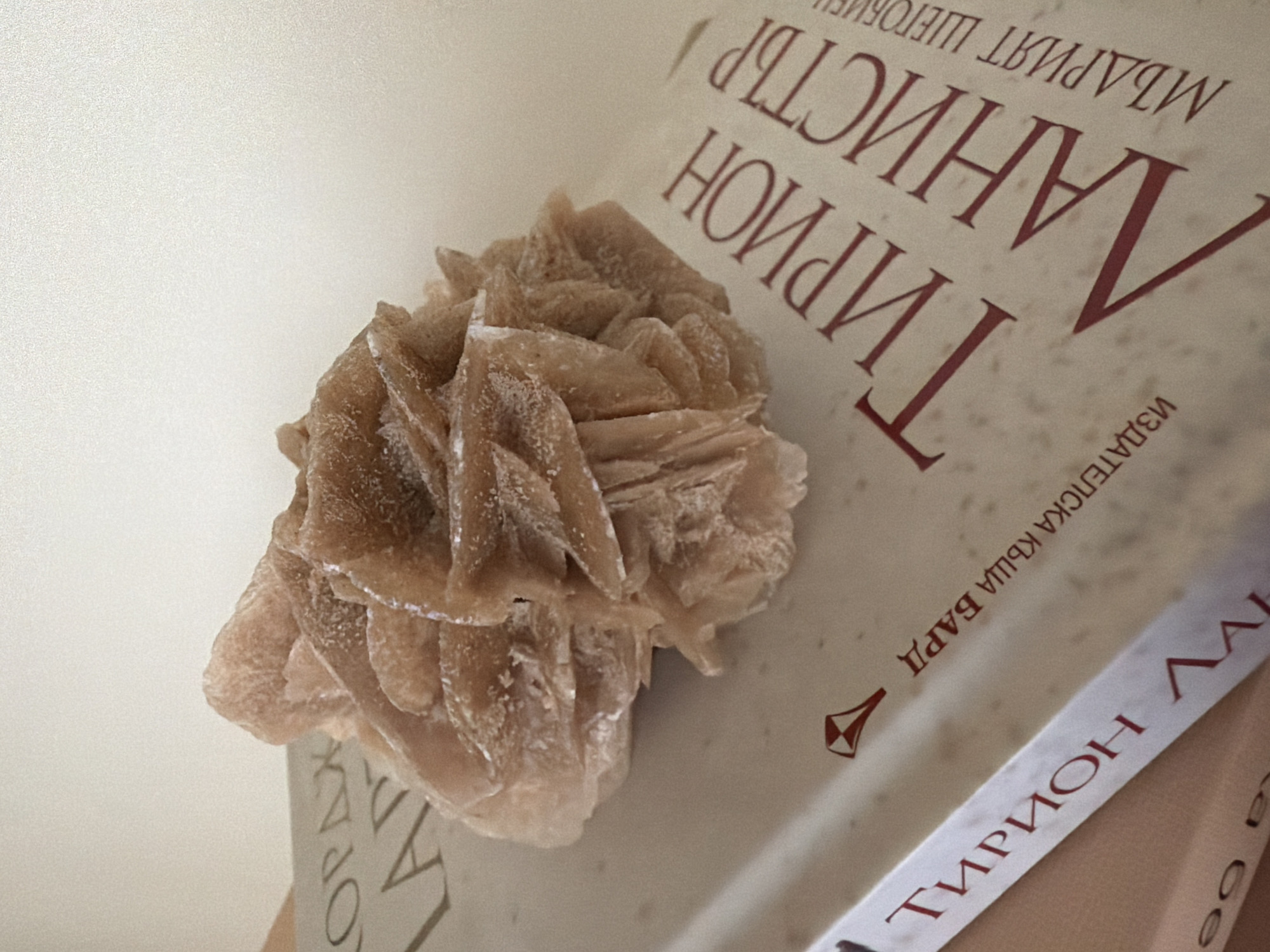 A desert rose mineral specimen rests on an open book with a white cover. The mineral is composed of light brown, layered crystals that resemble petals. The book's cover is slightly textured and shows text in a dark red font. The visible text on the book's cover appears to be in Cyrillic script, with prominent lettering spelling "ТИРИОН" and "ЛАНИСТЪР". There is also smaller text beneath, which is difficult to read clearly. A small red emblem, resembling a diamond shape with an arrow-like extension, is present on the book. The background is a plain, light-colored surface, likely a wall or table. The lighting suggests an indoor setting, with natural light illuminating the scene from the side. There are no people or animals visible in the image. The image is a close-up shot, focusing on the mineral and the book. The location in Pazardzhik, Bulgaria is not discernable from the visual content of the image.