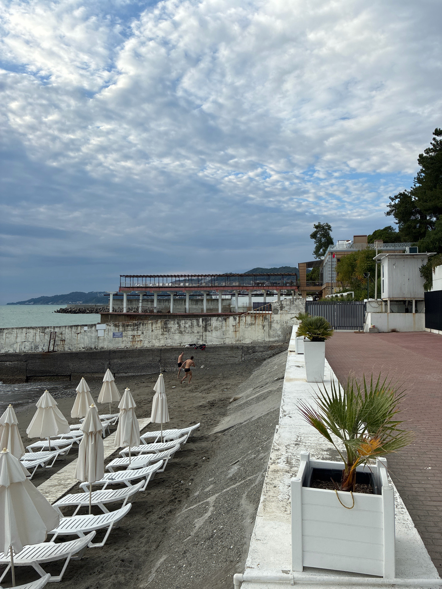 This image depicts a beach scene in Sochi, Russia, under a cloudy sky. In the foreground, rows of white beach chairs and closed umbrellas are arranged on dark sand. A wooden boardwalk runs between some of the chair rows. Further back, two individuals are visible on the sand, one appearing to throw something. A concrete wall separates the beach from a paved walkway. Beyond the wall, there is a large, multi-story building with an open-air upper level, resembling a restaurant or cafe, situated near the sea. The sea itself is visible in the background, with distant hills or mountains. There are also trees and smaller structures along the coastline and further inland. A potted palm tree is prominently featured in a white planter on the right side of the image.