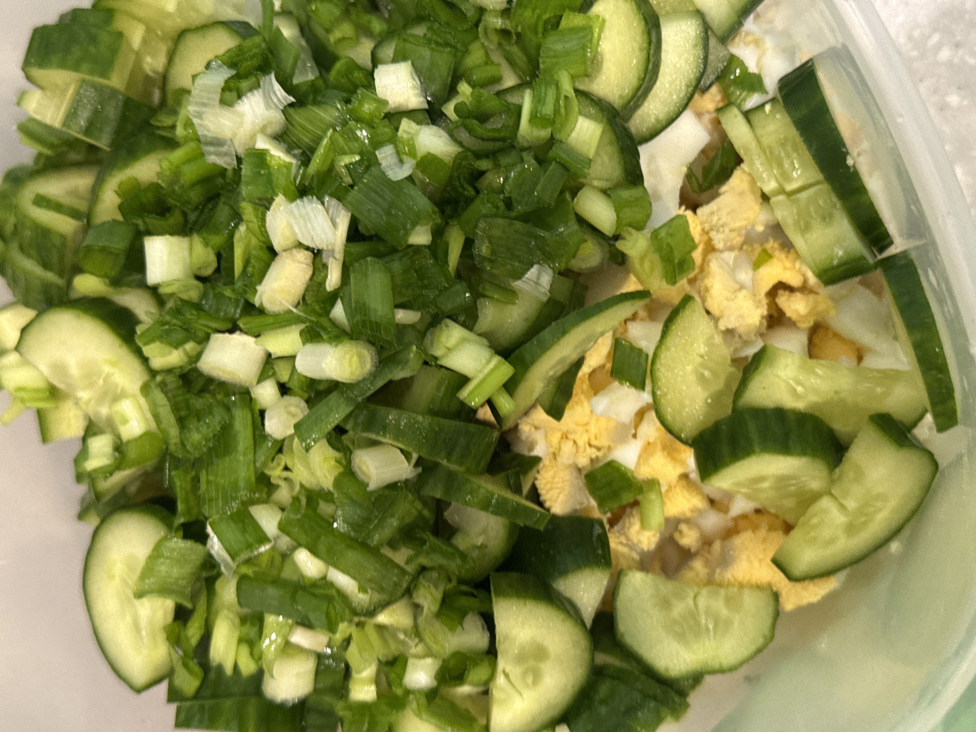 The image shows a close-up of a salad inside a clear plastic container. The salad consists of sliced cucumbers, chopped green onions, and crumbled hard-boiled eggs. There are no people visible. The environment suggests a kitchen or food preparation setting. No specific location in Izhevsk, Russia, can be determined from the image.