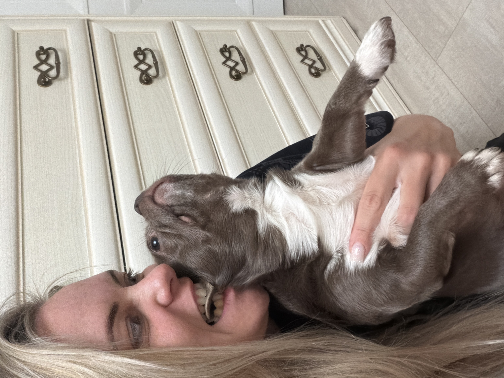 A woman with blonde hair is lying on her back, with a small brown and white dog resting on her face and upper chest. The dog's paw is raised in the air. The woman's mouth is open slightly, and she appears to be looking at the camera. Behind the woman and dog is a light-colored paneled wall with decorative bronze-colored handles. The location is possibly Votkinsk, Russia.