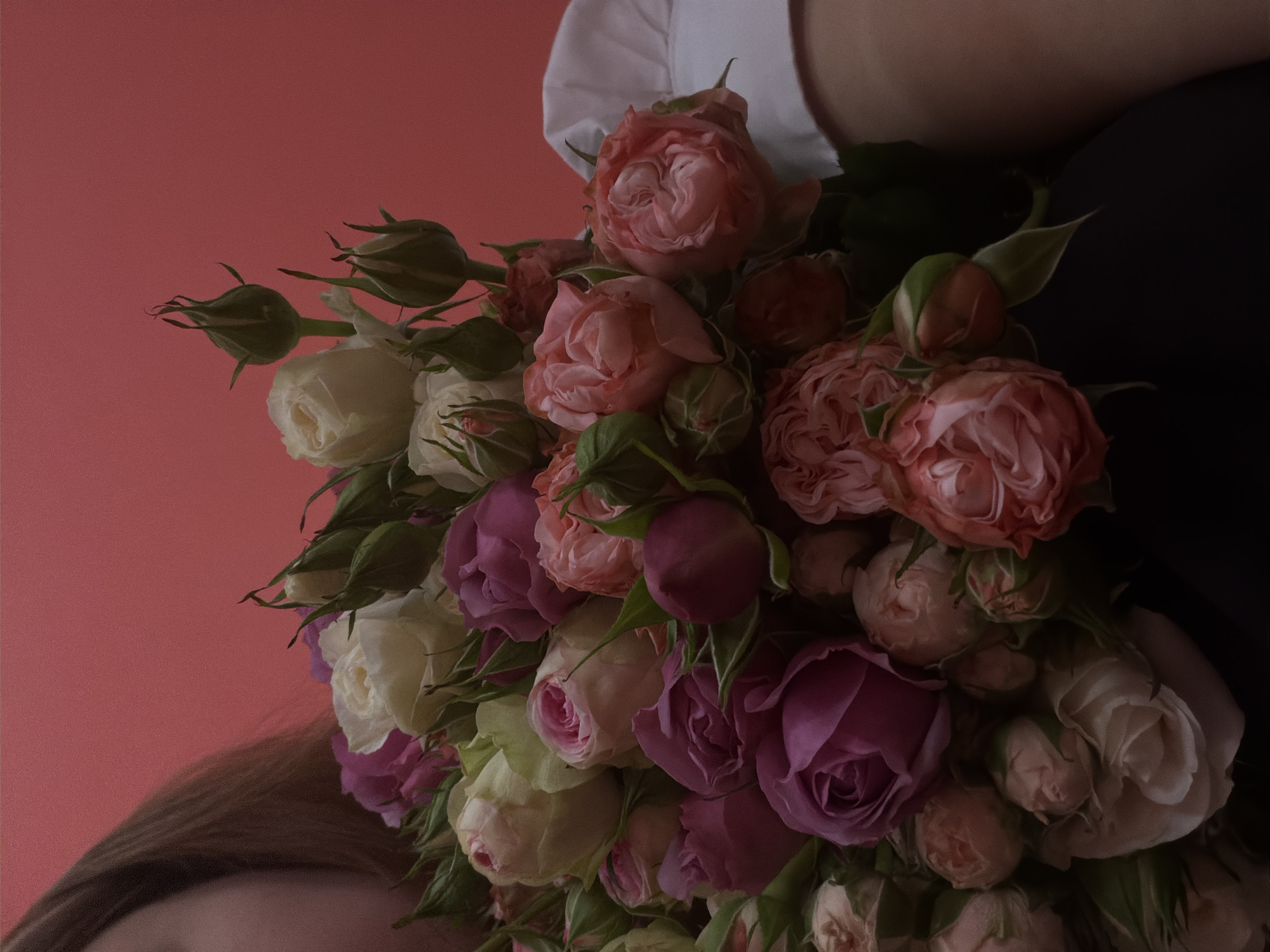 A bouquet of roses in shades of pink, purple, and white is prominently featured against a solid red background. The bouquet is held by an individual wearing a white shirt. A portion of the individual's face and brown hair are visible in the lower left corner. A black garment is also visible in the upper right. The location is not discernible from the image. The image does not provide enough information to determine the location is Yerevan, Armenia.