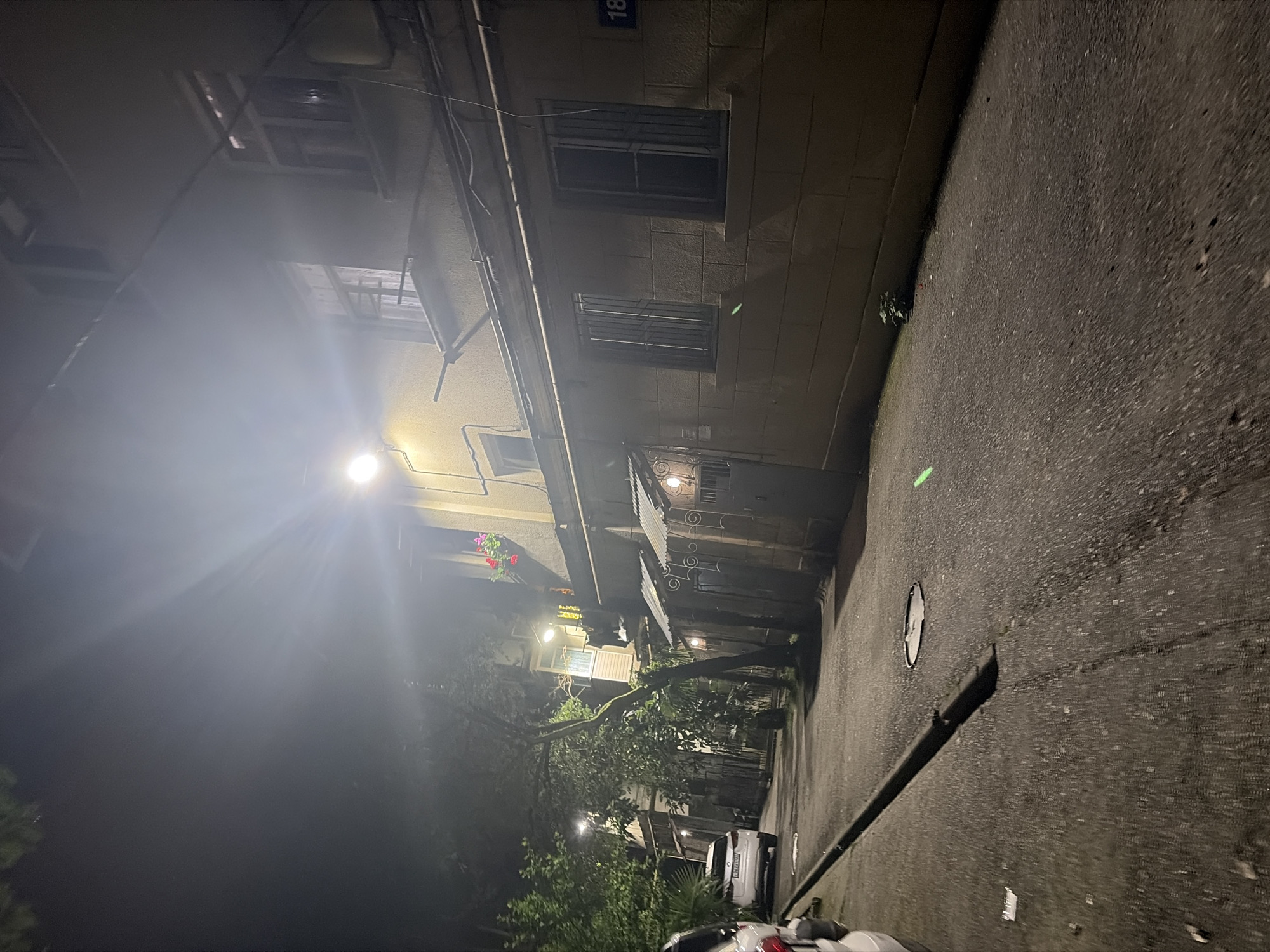 The image captures a nocturnal street scene in what appears to be a narrow alleyway or side street in Sochi, Russia. Buildings line one side of the paved surface, illuminated by artificial lights, suggesting an urban or residential setting.
On the left, a multi-story building stands with a cream or light brown facade. Several windows are visible, some fitted with security bars. A building number '18' is clearly visible near the top left of the structure. Beneath one window, a window box contains vibrant red flowers, adding a splash of color to the night. Various architectural details like awnings or decorative metalwork are present near entrances. A strong light source emanating from or near the building creates a significant lens flare, obscuring some details in the upper left section of the image.
The ground is a dark, textured asphalt or paved surface, sloping slightly. A white, circular manhole cover is visible on the ground, along with a distinct bright green spot, possibly a reflection or laser pointer mark. Dense foliage, including trees and bushes, is interspersed along the buildings and in the foreground, with one prominent tree leaning across the frame.
Portions of at least two parked vehicles are visible in the lower right and bottom center of the frame, one of which appears to be a white SUV. No people are visible, and no specific activity is taking place, contributing to a quiet, serene atmosphere. The scene is lit entirely by artificial light sources, confirming the nighttime setting.