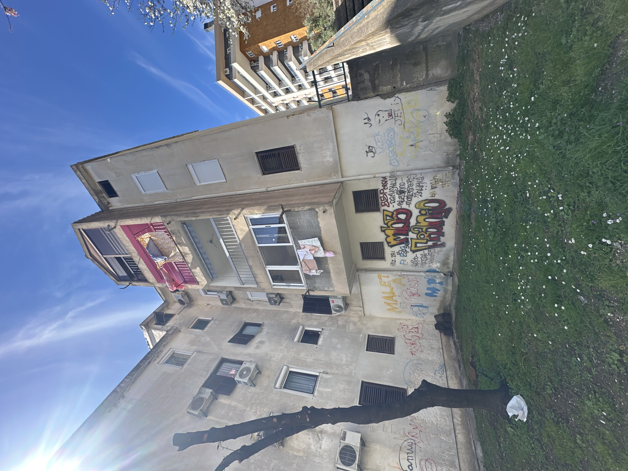 The image shows a dilapidated, multi-story building in Budva, Montenegro. The building's facade is heavily marked with graffiti. Clothes are hanging on a balcony. Air conditioning units are visible on the exterior walls. A tree trunk is in the foreground, with a piece of white trash at its base. Grass and small white flowers grow next to the building. In the background, another building is partially visible. The sky is blue with some clouds.