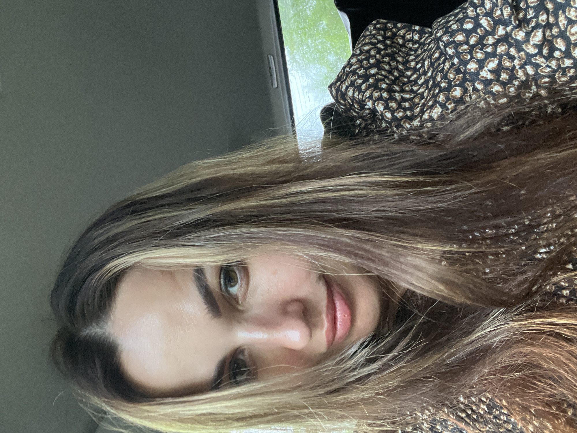 A medium-close-up selfie shows a woman with long, wavy, brown hair with blonde highlights. Her hair is styled to fall around her face. She has brown eyes and is wearing a brown and black animal print top. She is looking towards the camera with a slight smile. The background is blurry and appears to be the interior of a car, with a window showing green foliage outside. The lighting is natural, suggesting daytime. The location is unknown, as is the specific city.