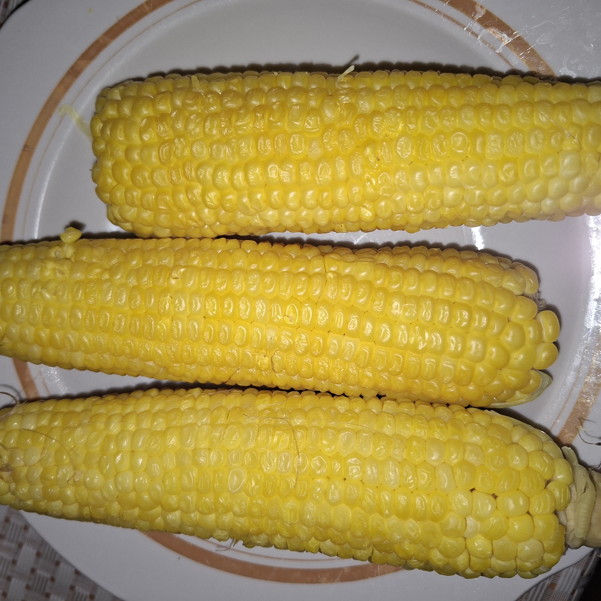 Three ears of corn are arranged vertically on a white plate. The corn is a bright yellow color and appears to be cooked. The plate has a thin brown and gold rim. The background of the image is a textured surface, possibly a tablecloth or placemat, with a checkered pattern in shades of beige and white. The lighting suggests the image was taken indoors, possibly in a domestic setting. There is no visible indication of the location in Mingachevir, Azerbaijan, nor any people or specific actions taking place.