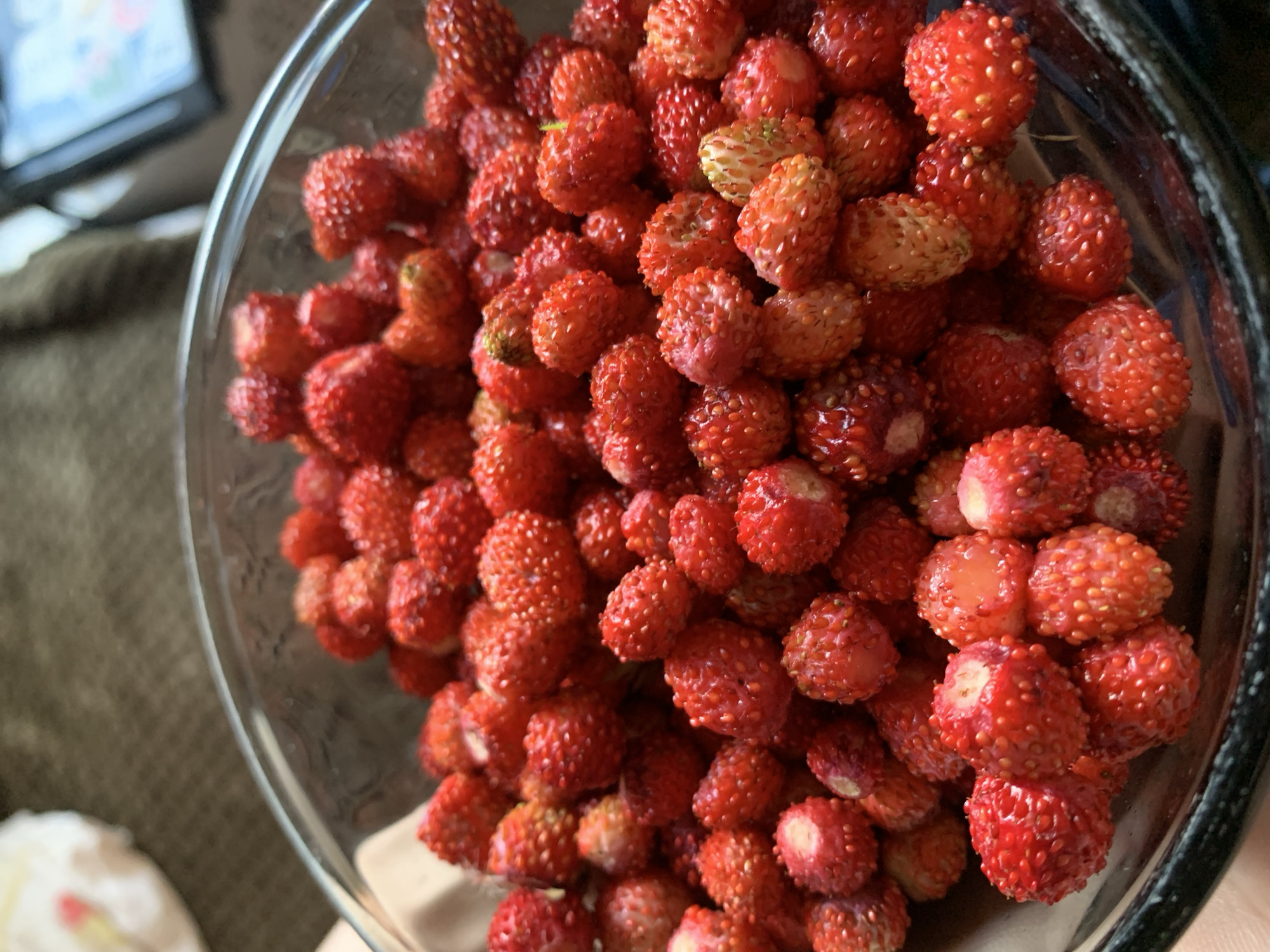 A close-up, overhead shot shows a clear glass bowl filled with wild strawberries. The strawberries are small, red, and have visible seeds on their surface. Some of the strawberries are lighter in color, appearing less ripe. The bowl is placed on a textured, brown surface. In the blurred background, a white object with a pink accent is visible on the left, and a dark electronic device with a screen displaying an image is visible on the right. There are no people or animals in the frame. The lighting appears natural, coming from above. The scene is static, with no action taking place. The image is devoid of any specific location indicators within the city of Фоки, Russia, or any other identifiable geographical markers.