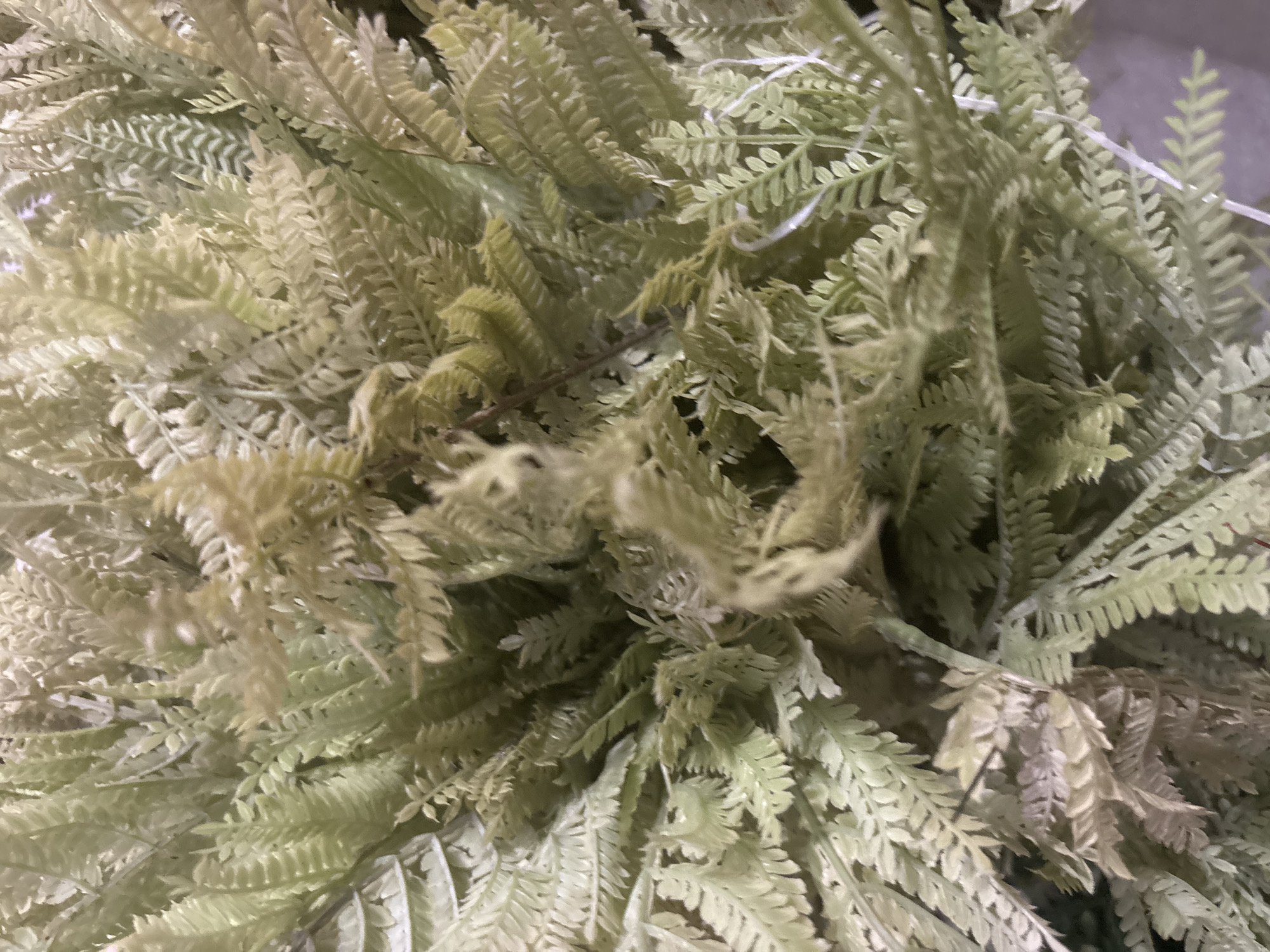 The image is a close-up, top-down view of a dense arrangement of artificial fern fronds. The fronds are a muted green and beige color, with a delicate, feathery appearance. They are clustered together, creating a soft, textured effect. There are no people or other objects clearly visible in the frame. The lighting is soft and diffused, with some areas appearing brighter than others, suggesting an indoor setting with artificial light. The image is consistent with a decorative floral arrangement or craft material, possibly a component of a larger display or product. The location in Lhokseumawe, Indonesia is not visually ascertainable from the image itself.