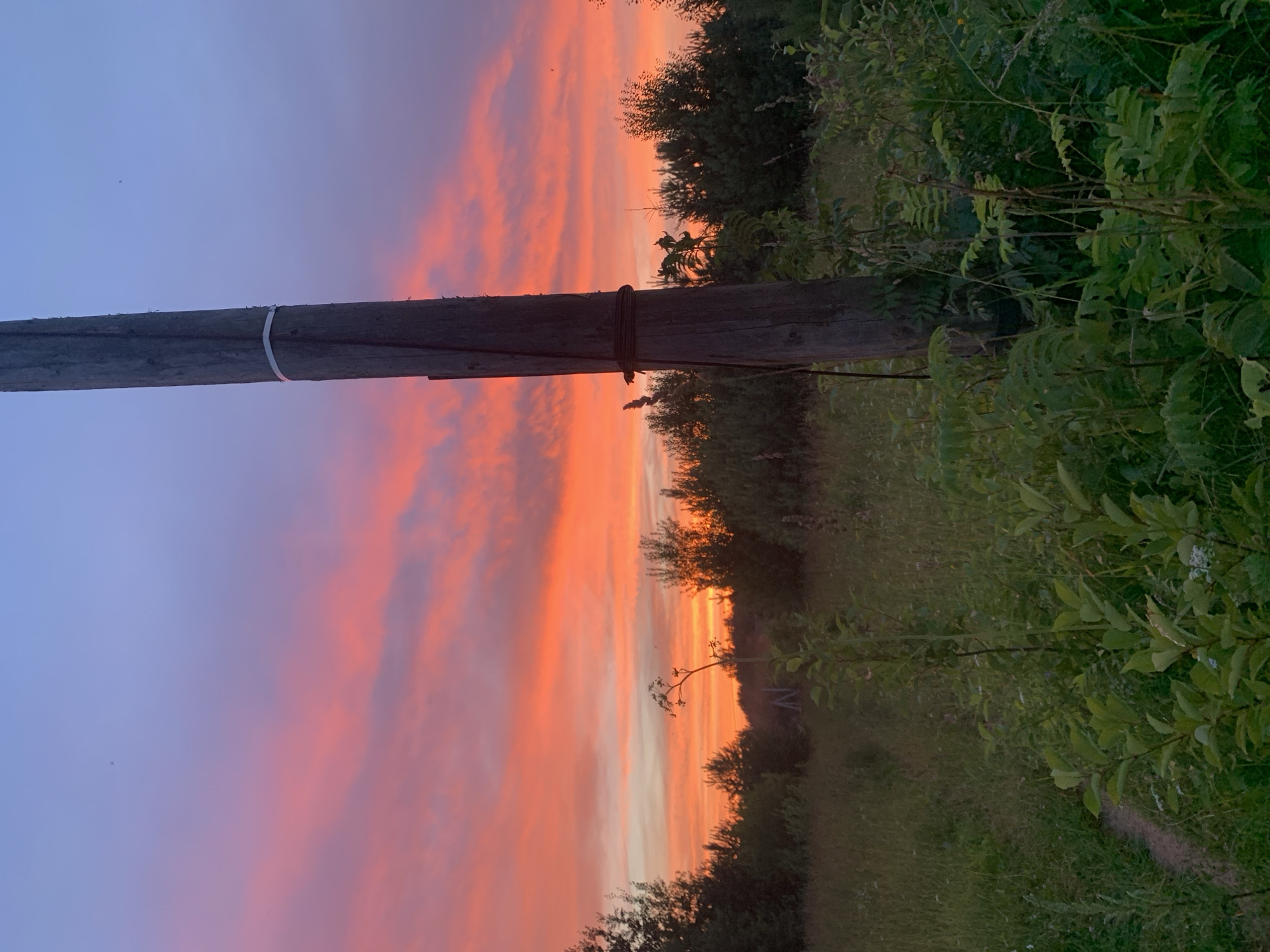 This photograph captures a rural landscape at dusk, possibly in or near Sergeevo, Russia. The sky dominates the upper portion of the image, displaying a gradient of soft blues transitioning into vibrant pink and orange hues, indicative of a sunset. Wispy clouds are scattered across the colorful sky.
In the foreground, a tall, weathered wooden pole stands prominently on the right side of the frame. It appears to be a utility pole, with a white band wrapped around its upper section and a dark rope or wire wrapped around its lower section.
To the left of the pole, a field of tall green grass and various wild plants stretches into the distance. A narrow dirt path winds through the grass, leading towards the horizon. The background is filled with dense foliage, primarily trees and shrubs, forming a dark, silhouetted line against the vibrant sky. The overall impression is one of natural beauty and a tranquil rural setting. No people are visible in the image.