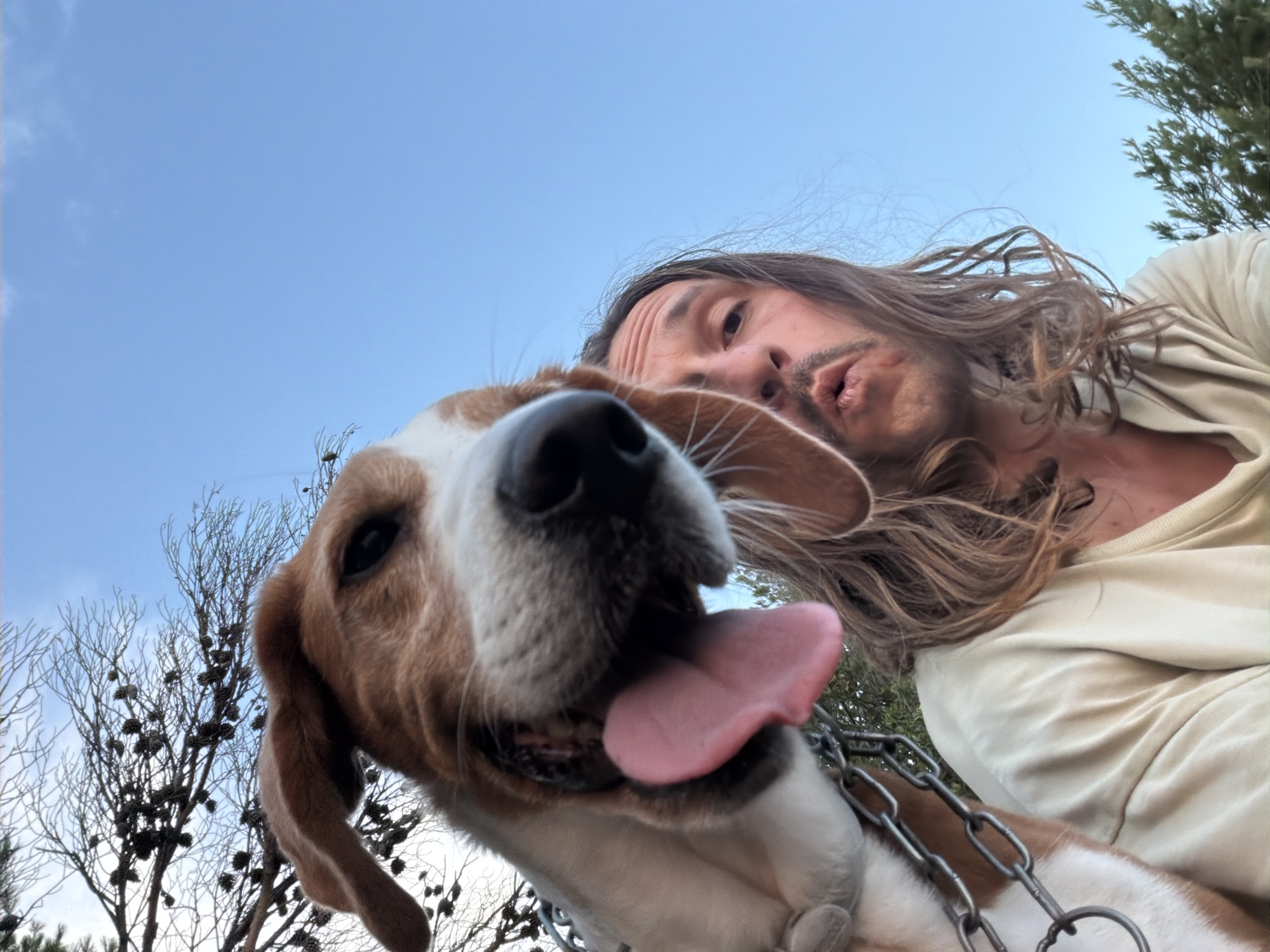 A selfie is taken from a low angle, with a beagle dog and a man in the foreground. The dog's face is very close to the camera, with its tongue hanging out. The man is to the right of the dog, with his mouth puckered. He has long, brown hair and a mustache. Both are wearing casual clothing. The background is a bright blue sky with some trees and branches visible. The scene appears to be outdoors, possibly in a park or backyard. There is no indication of the city of Petrovac centar, Montenegro.