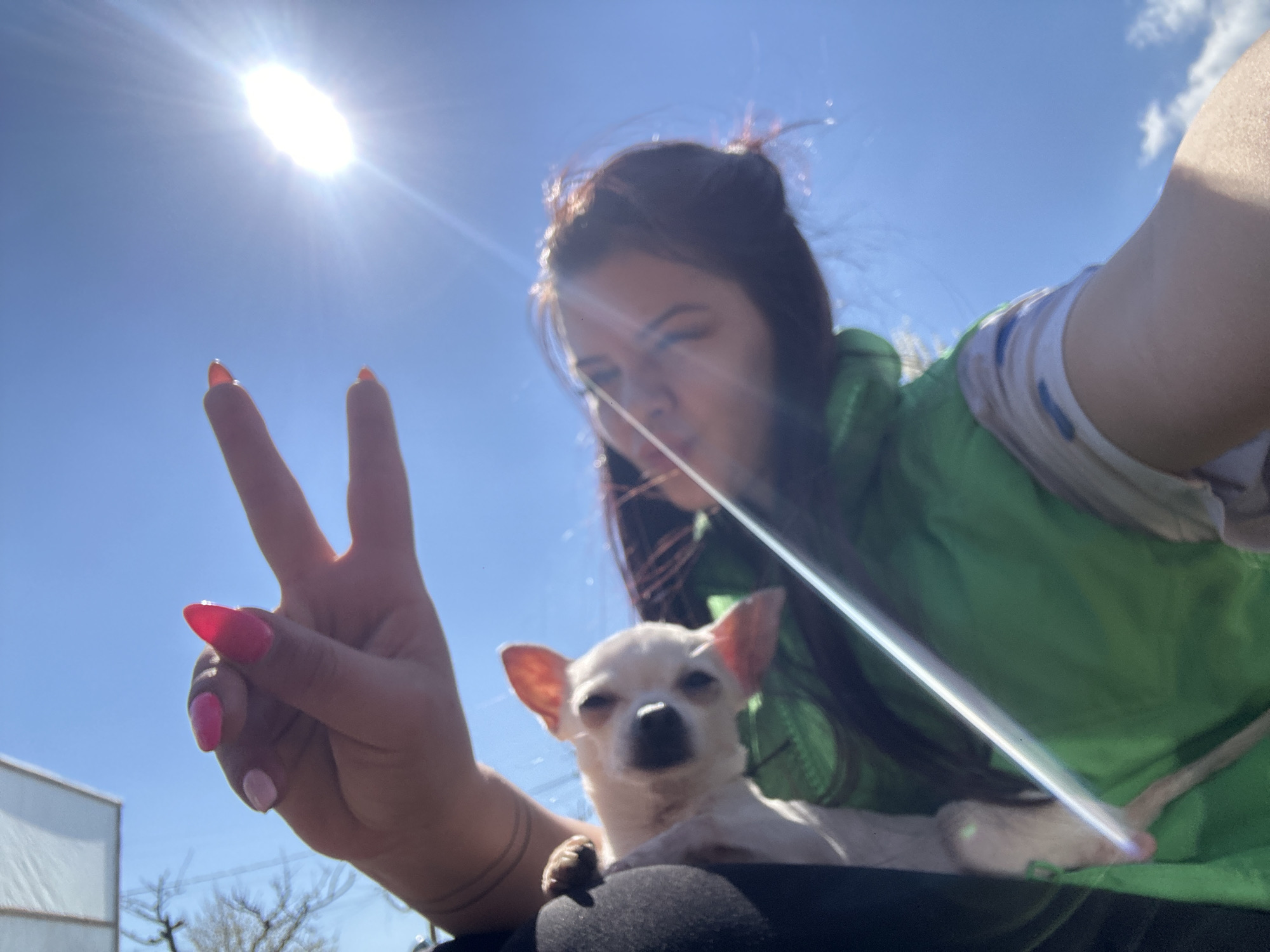 A woman is taking a selfie with a small, light-colored Chihuahua. She is holding up a peace sign with her left hand, and her nails are painted in alternating shades of red, pink, and white. The woman has long, dark hair partially tied up, and she is wearing a green jacket. The sun is bright in the clear blue sky. The background includes glimpses of a building, bare trees, and a blue sky. It's impossible to confirm if this photo was taken in Chubra, Bulgaria.