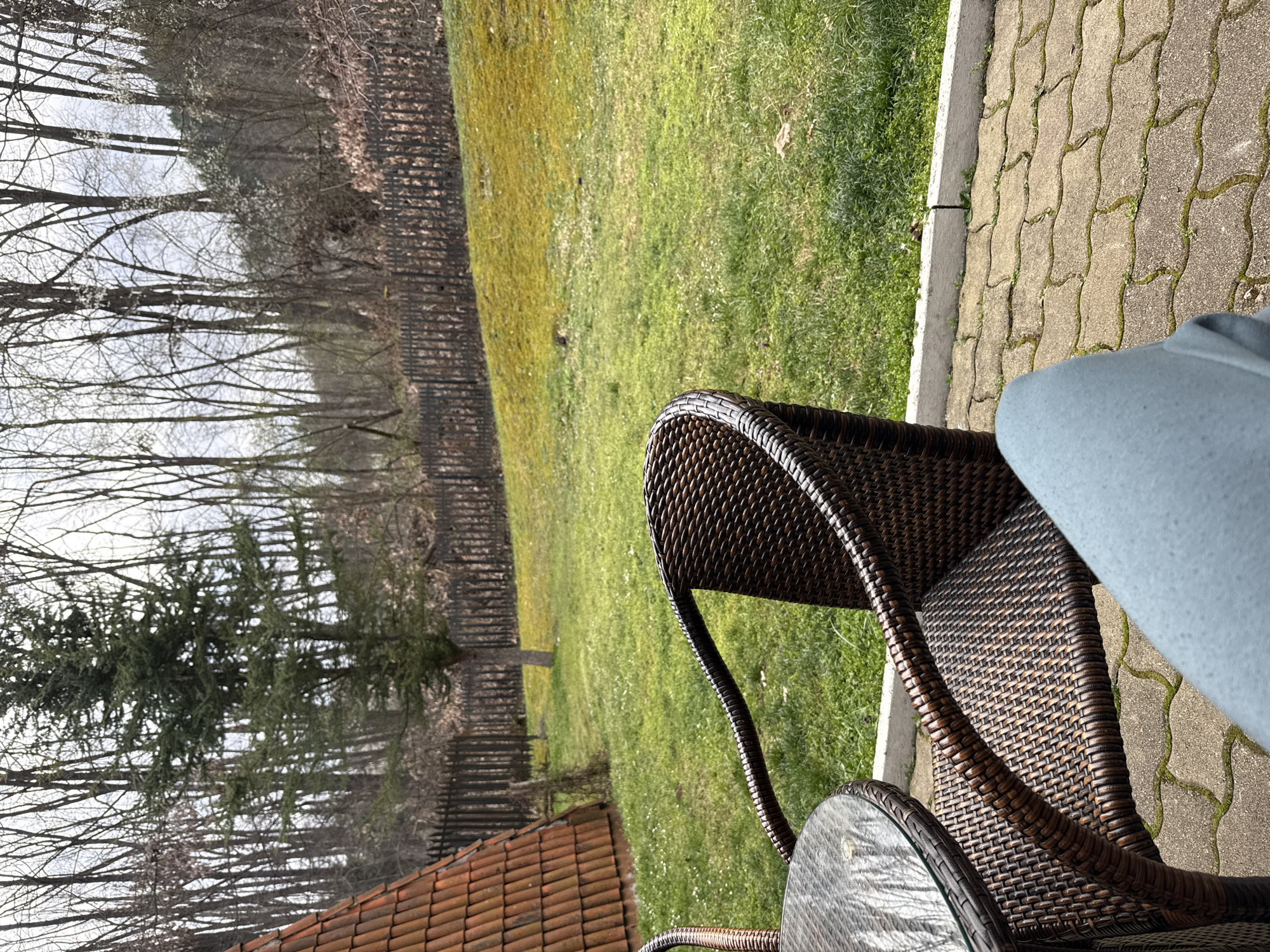 The image shows a partially visible brown wicker chair and a round glass-topped table on a paved patio with moss growing between the stones. A person wearing a light blue garment is sitting in the chair. Beyond the patio is a green lawn bordering a wooded area with deciduous trees and evergreen trees. A red-tiled roof of a building is visible in the lower left. A wooden fence is partially visible along the edge of the wooded area. The location is possibly in Etropole, Bulgaria.