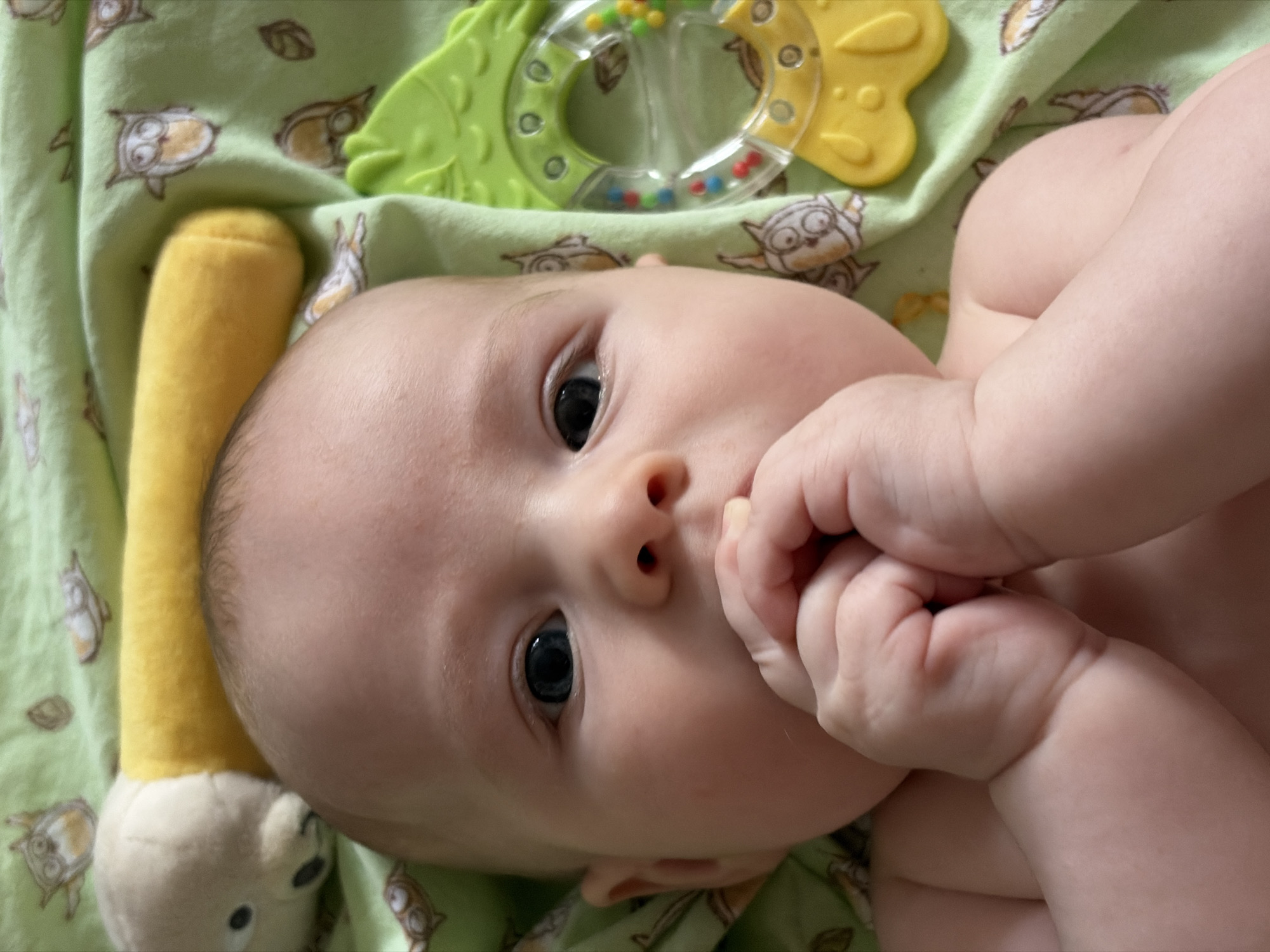 A close-up, high-angle shot captures an infant lying on a green blanket adorned with cartoon owl and leaf patterns. The baby, with fair skin and dark eyes, is positioned diagonally, looking directly at the viewer with a curious and calm expression. Its left hand is raised towards its mouth, with fingers possibly tucked in or resting near the lips.
To the baby's left (viewer's right), a yellow, elongated stuffed toy, possibly a carrot or similar plush item, is partially visible. Above the baby's head (viewer's top left), a green and yellow plastic rattle or teether is seen, featuring clear sections filled with small, colorful beads.
The setting is indoors, likely a home environment in Chaikovsky, Russia, characterized by the soft blanket and baby toys. The lighting suggests an indoor scene, possibly during the day or under artificial light. No visible text is present in the image.