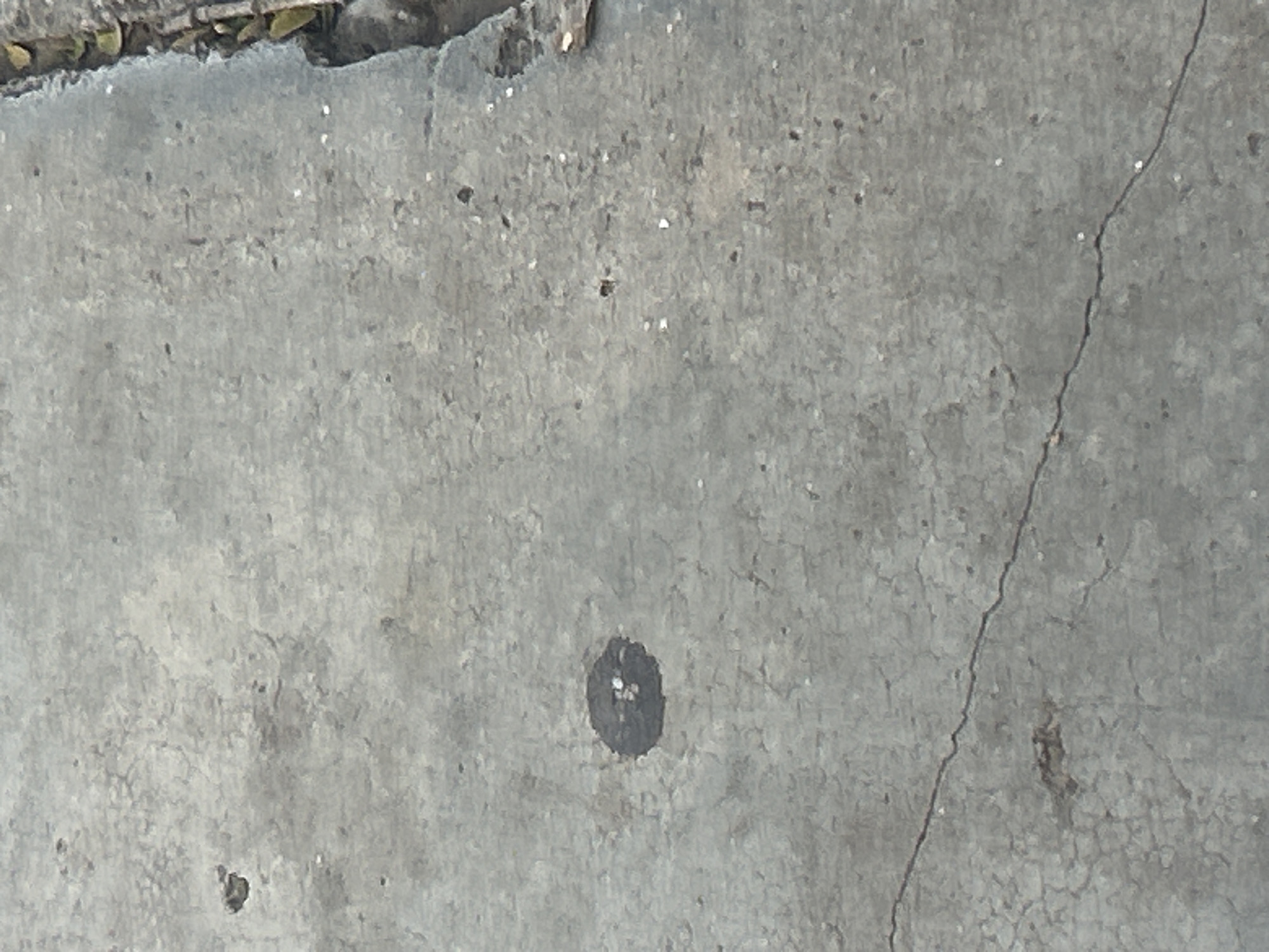 The image displays a close-up, slightly angled view of a cracked concrete surface. The concrete is a light gray with a textured, speckled appearance. A dark, circular stain, approximately the size of a palm, is visible near the center of the frame. The stain appears to have lighter flecks within it. A thin, jagged crack runs diagonally across the lower portion of the image. To the right, the edge of the concrete meets a rougher, darker area with some debris and a few small green leaves. The lighting suggests an outdoor environment, possibly a sidewalk or pathway, under natural daylight. The location in Santa Ana, Venezuela is not discernable from the visual information provided in the image. There are no people or discernible actions depicted.