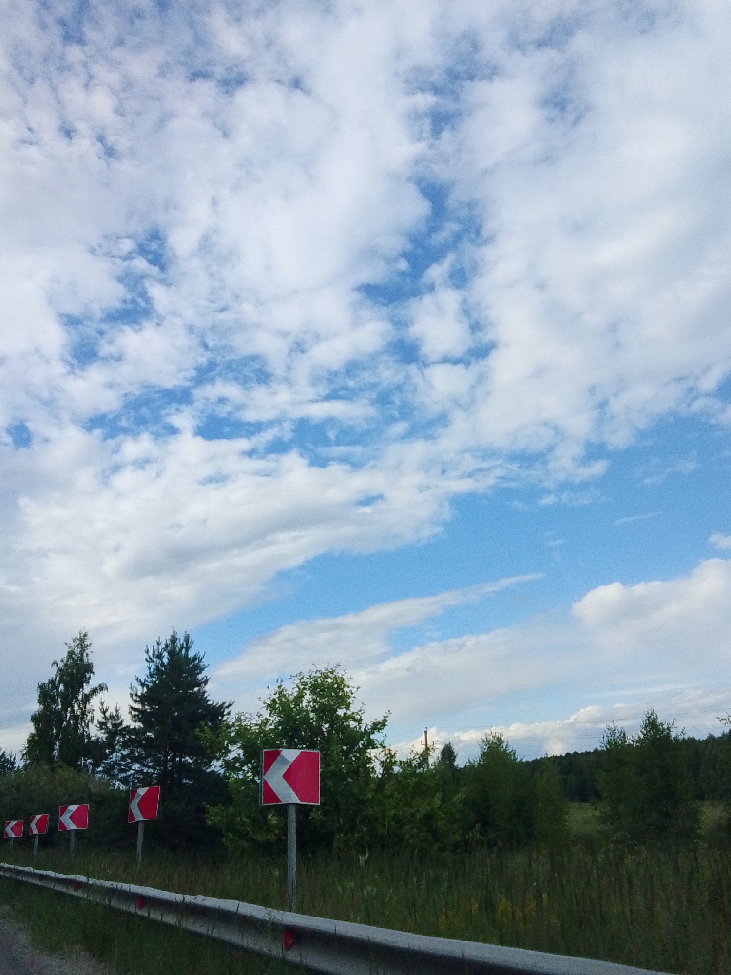 The image depicts a road scene in Savinskaya, Russia, under a partly cloudy sky. The foreground features a guardrail running along the side of a paved road. Several red and white chevron signs, indicating a curve in the road, are placed along the guardrail. In the background, a line of trees and lush green vegetation forms a natural backdrop, with a few taller evergreen trees interspersed among deciduous ones. The sky is a bright blue with scattered white clouds, suggesting fair weather. No people are visible in the image.