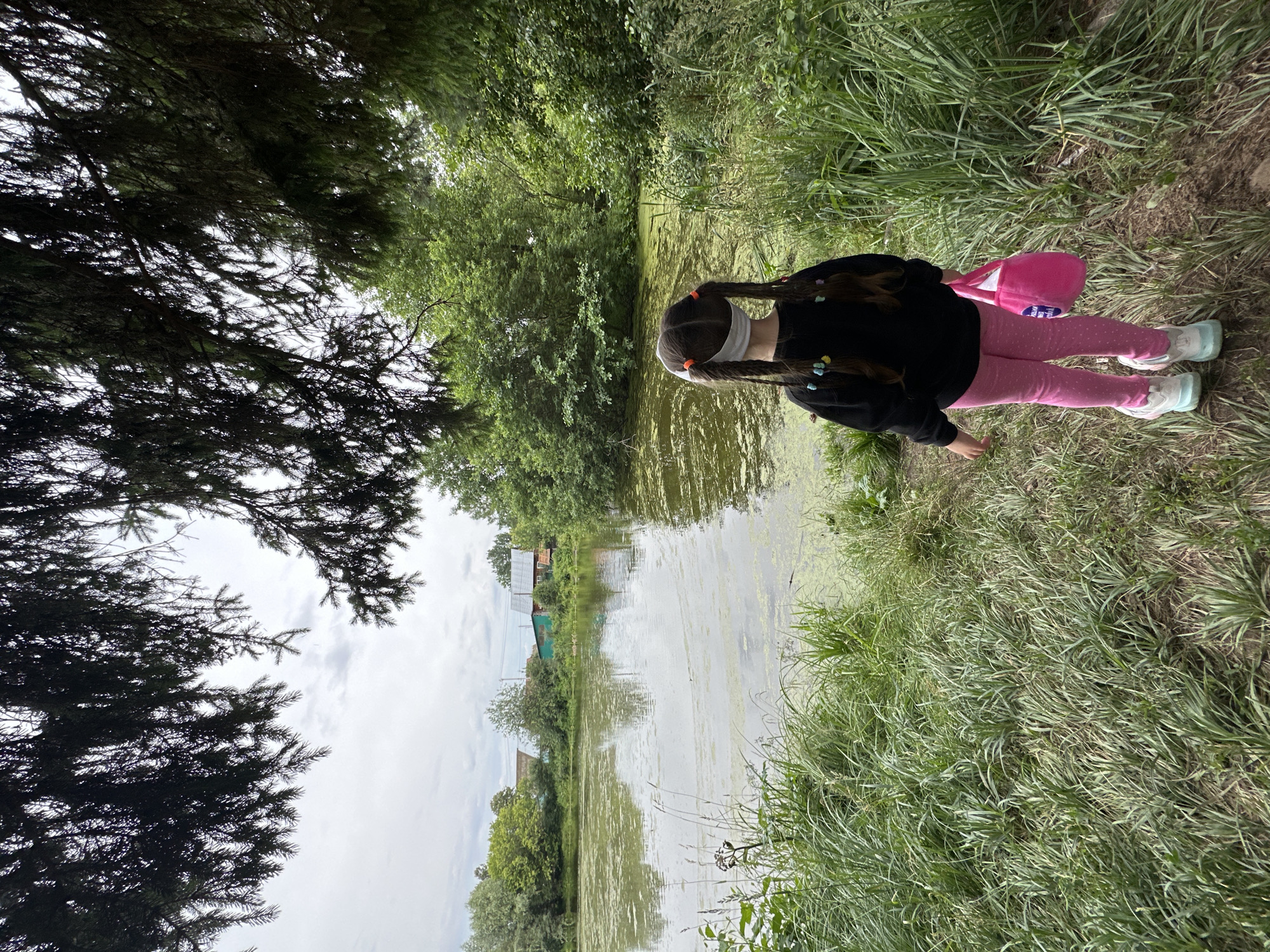 An outdoor, eye-level, medium shot captures a young girl standing on a dirt path next to a pond in Chaikovsky, Russia. The girl faces away from the camera, looking at the pond and the surrounding greenery. She has dark hair styled in two braids, adorned with colorful clips. She is wearing a black long-sleeved shirt, pink leggings with white polka dots, and white and blue sneakers. A pink bag hangs from her right hand. The pond is covered in green algae and sits in front of a dense green forest. In the background, there are several houses with visible roofs and chimneys, indicative of a rural or suburban setting. The sky is overcast with gray clouds. The overall scene depicts a natural environment with signs of human habitation in the distance.