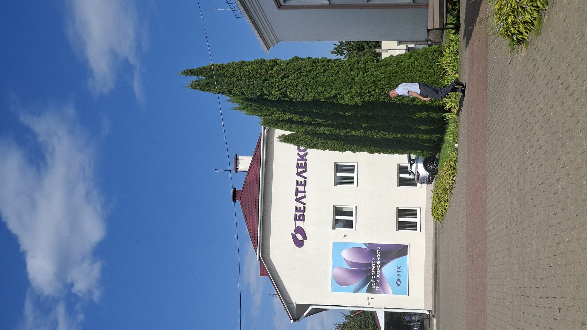 The image depicts the Beltelecom office building in Myadzyel, Belarus, under a clear blue sky with scattered clouds. The white, two-story building features a prominent sign with purple lettering that reads "БЕЛТЕЛЕКОМ" (Beltelecom) and a large advertisement for the company below it. The advertisement shows a stylized image of two purple petals and text that reads "ТВОЙ ОПЕРАТОР – ТВОИ ВОЗМОЖНОСТИ" (Your Operator - Your Opportunities) and the "БТК" (BTK) logo.
In front of the building, a row of tall, slender green trees stands prominently, casting shadows on the paved walkway and the building. A silver SUV is parked near the trees, partially obscured by the foliage. A man in a light blue shirt and dark trousers is walking on the paved area, facing away from the camera and towards the right side of the frame. The walkway is paved with gray and red interlocking bricks. To the far right of the image, a portion of another building and a wooden bench are visible. The scene appears to be an outdoor area of a commercial or administrative building on a sunny day.