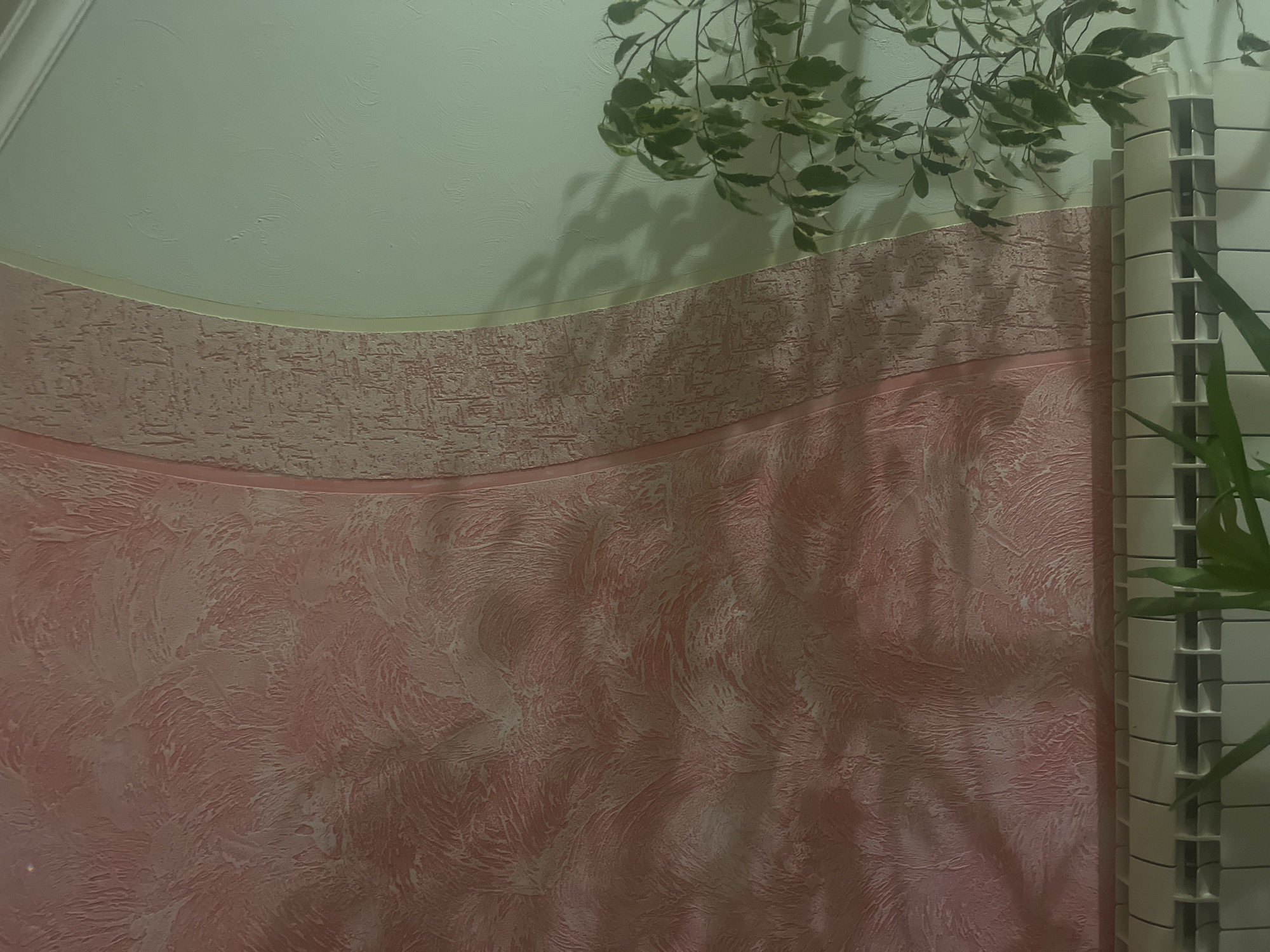 A close-up, eye-level indoor shot focuses on a textured wall with a curved partition separating two distinct finishes. On the left, a richly textured, swirled pink plaster creates a dynamic, organic pattern. To the right, a paler, beige-toned plaster section exhibits a rougher, more granular texture. A subtle, pale yellow trim delineates the curved edge where these two textures meet. The wall on the far right is a pale, mint-green, showing subtle circular patterns and casting a soft shadow from an unseen light source. In the lower right corner, the variegated green and white leaves of a potted plant are visible. Below the wall, a white radiator spans the width of the frame, its ribbed surface clearly defined. The overall impression is one of interior decor, possibly in a residential setting in Tarnivtsi, Ukraine.