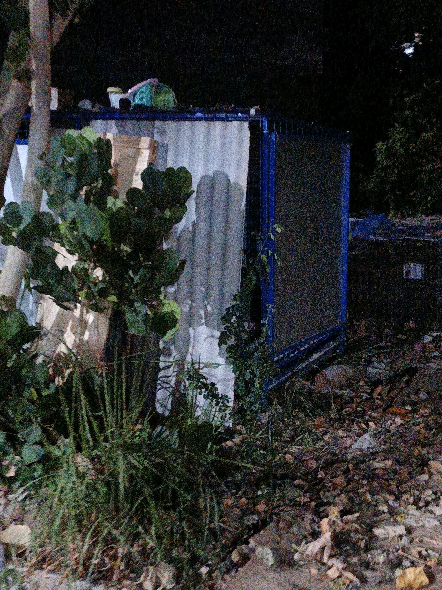 This image depicts a dark, outdoor scene, possibly at night, with a focus on a makeshift structure. The structure appears to be constructed from corrugated metal and blue-painted framing, resembling a container or shed. Green foliage, including large-leafed plants and tall grasses, is growing in front of and around the structure, partially obscuring it. The ground is covered with fallen leaves and debris. In the background, another similar structure is visible, and the overall environment suggests an urban fringe or undeveloped area. The image quality is somewhat grainy, which may be due to low light conditions or the camera used. There are no people or discernible actions taking place. The location in the city of Cikal, Indonesia is not explicitly indicated by any visual cues in the image.