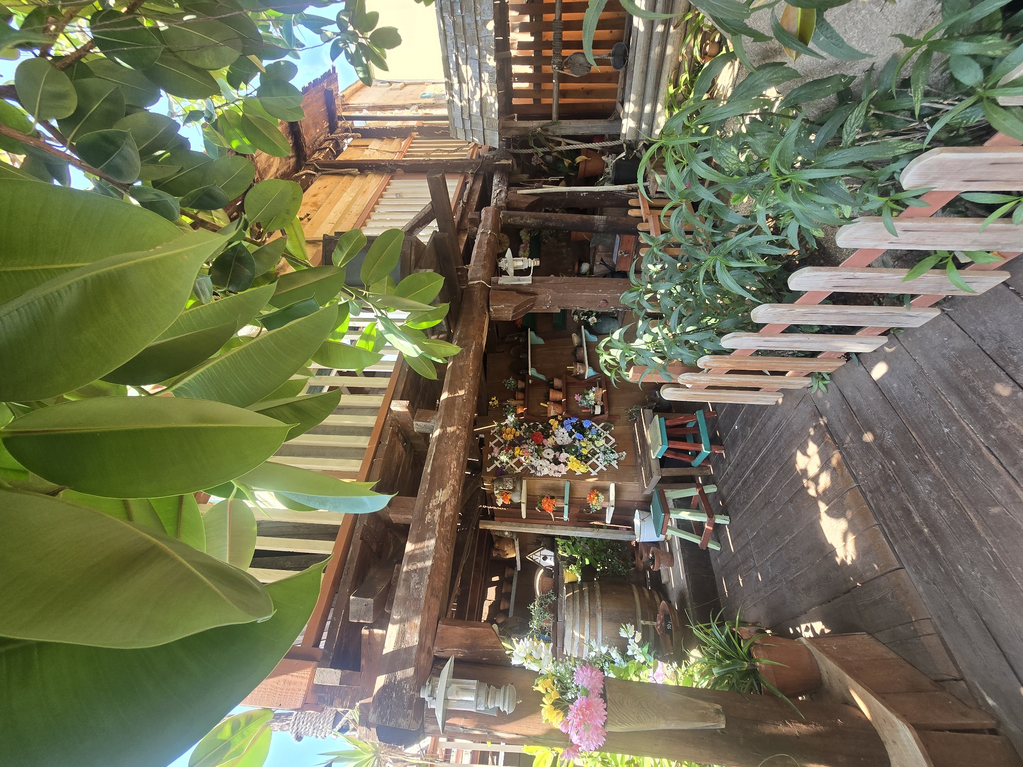 The image shows a rustic, multi-level wooden structure with a thatched roof, resembling a treehouse or a rustic shed, in a garden setting. Lush green foliage, including large, glossy leaves of a rubber plant, overhang the scene. The structure is adorned with decorative elements, including hanging lanterns, birdhouses, shelves displaying potted plants and decorative items, and colorful artificial flowers.
In the foreground, a wooden deck leads to the structure. A small, light-colored wooden fence with vertical slats and a pointed top encloses a section of the garden planted with various green leafy plants. Two small, colorful stools with green and blue seats and wooden legs are placed on the deck. A wooden barrel is positioned to the left of the structure.
The lighting suggests a sunny day, with dappled sunlight casting shadows on the wooden deck. The overall atmosphere is charming and whimsical, evoking a sense of a tranquil, garden retreat.
This scene is located in the town of Mellieħa, Malta.