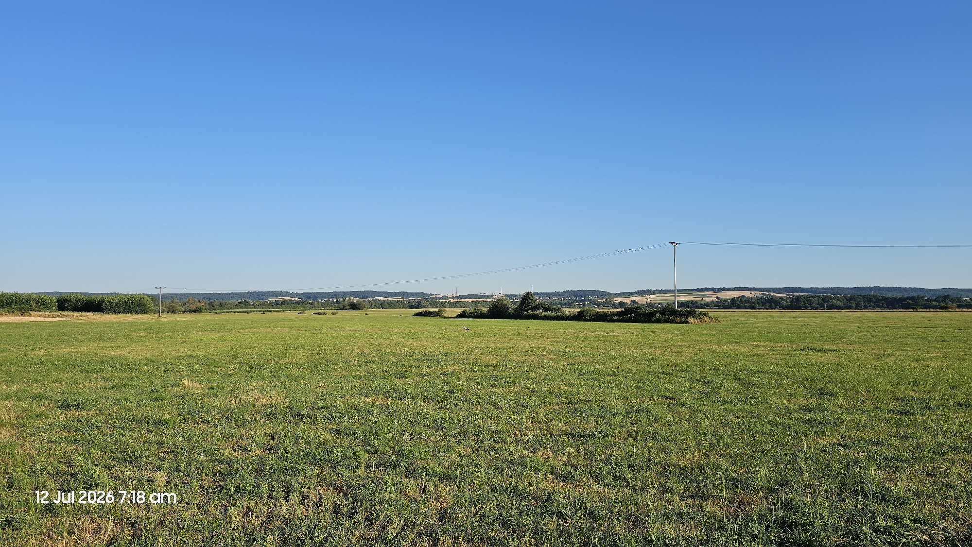 The image depicts a wide, open grassy field under a clear blue sky. A single, thin power line stretches horizontally across the frame, supported by a tall, slender pole on the left side of the image. In the distance, a line of trees forms a border along the horizon, with a town or village visible beyond them. Some buildings and wind turbines can be seen amongst the trees in the middle ground. The foreground is dominated by the green grass, with some patches of drier vegetation. A small, white bird, possibly a stork, is visible in the mid-ground of the field. The timestamp "12 Jul 2026 7:18 am" is overlaid on the bottom left corner of the image. The scene appears to be in Hainchen, Germany, given the rural landscape.