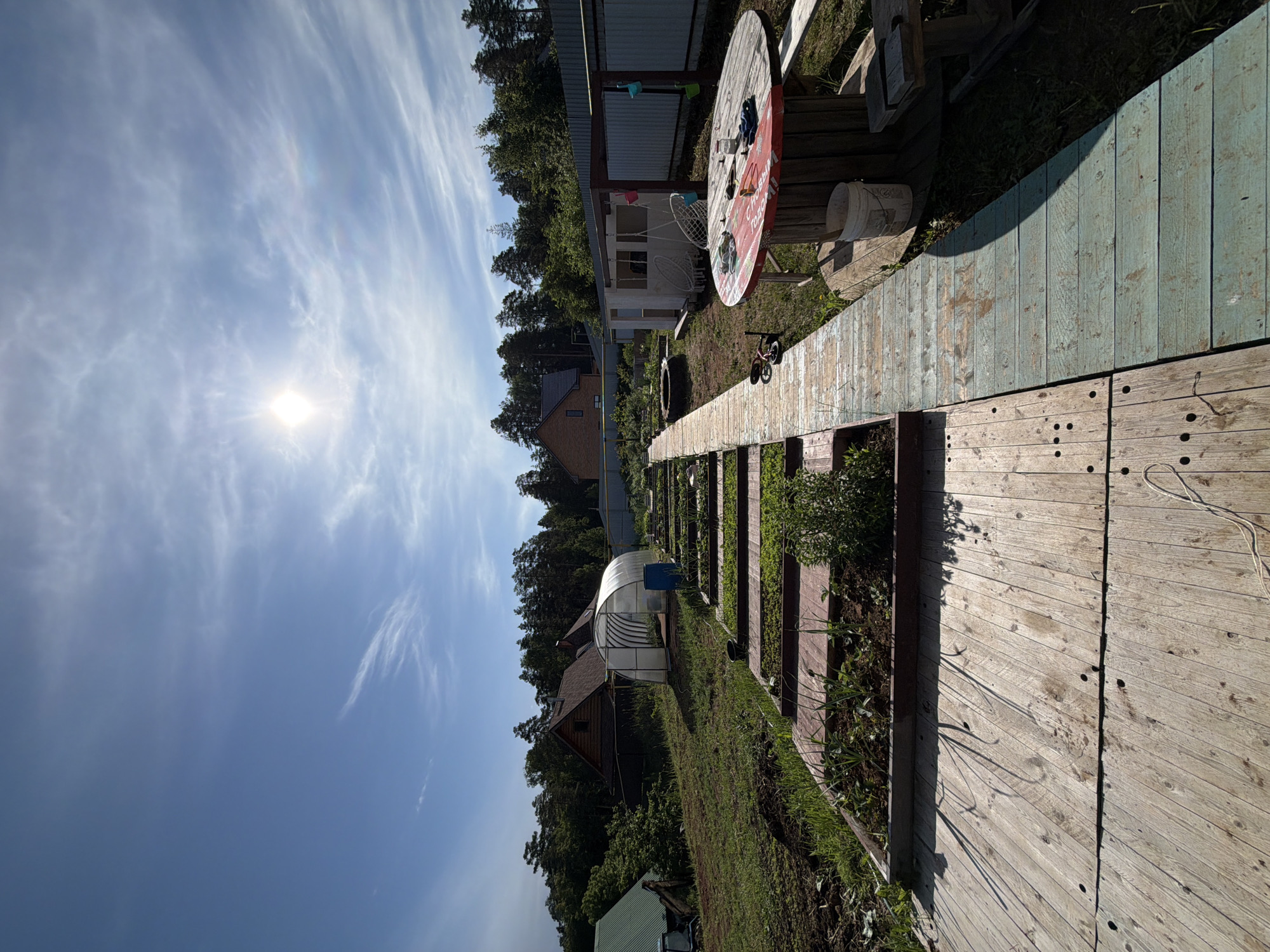 The image depicts an outdoor scene, potentially a garden or rural area, possibly located in Chaikovsky, Russia. A wooden walkway with varying textures and colors runs through the center of the frame. To the left of the walkway, there are garden beds with plants growing in them. In the background, a greenhouse and several houses can be seen. The sky is blue with wispy clouds, and the sun is visible, casting shadows across the scene. Other objects include a large wooden spool and various gardening tools and equipment. The image is oriented in a portrait format, with the bottom of the frame closer to the viewer and the horizon line towards the top.