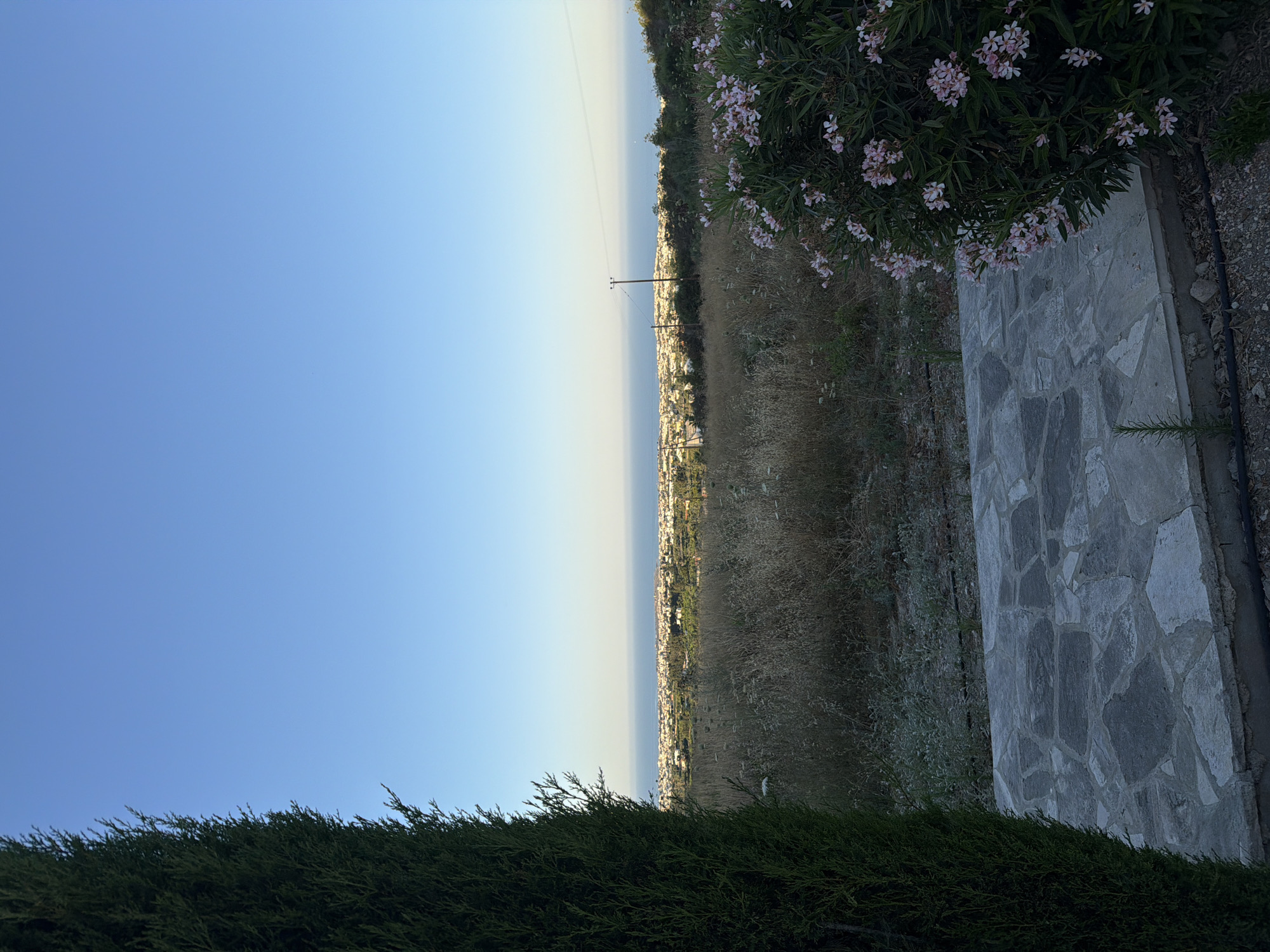The image depicts a scenic view overlooking a coastal city in Tremithousa, Cyprus, under a clear blue sky. In the foreground, a tall, dark green cypress tree is positioned on the left side, partially obscuring the view. Adjacent to the tree, a pathway constructed with irregular grey flagstones leads towards a patch of dry, golden grass. To the right of the pathway, a lush green bush adorned with delicate pink flowers is in bloom.
The middle ground features a vast expanse of dry grass and vegetation, suggesting a natural, uncultivated landscape. Beyond this, a sprawling city with numerous buildings in varying shades of white and yellow stretches towards the horizon. The city is bordered by the calm, blue sea, which extends to meet the sky at the distant horizon. A single utility pole with wires is visible on the right side of the middle ground, near the edge of the city. The overall impression is one of a tranquil, late afternoon or early morning scene, characteristic of the Mediterranean coast.